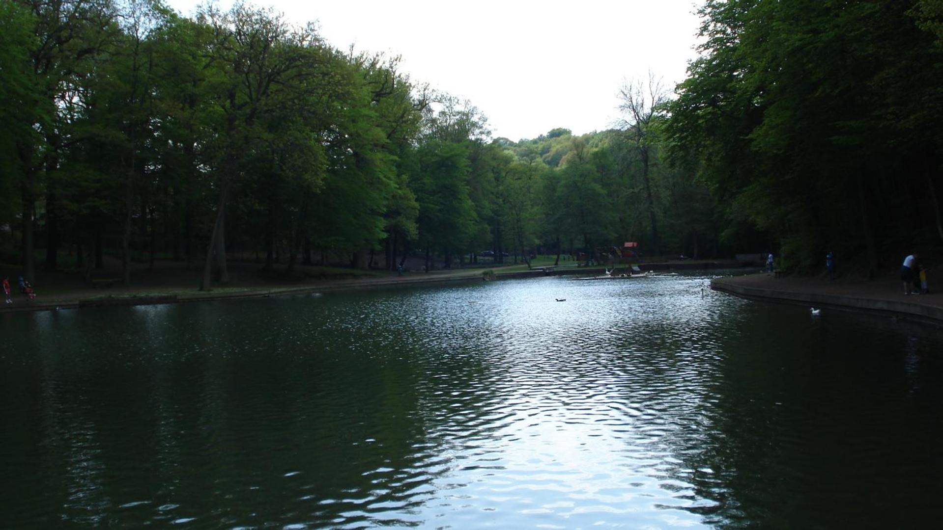 Location PanoramaGreen