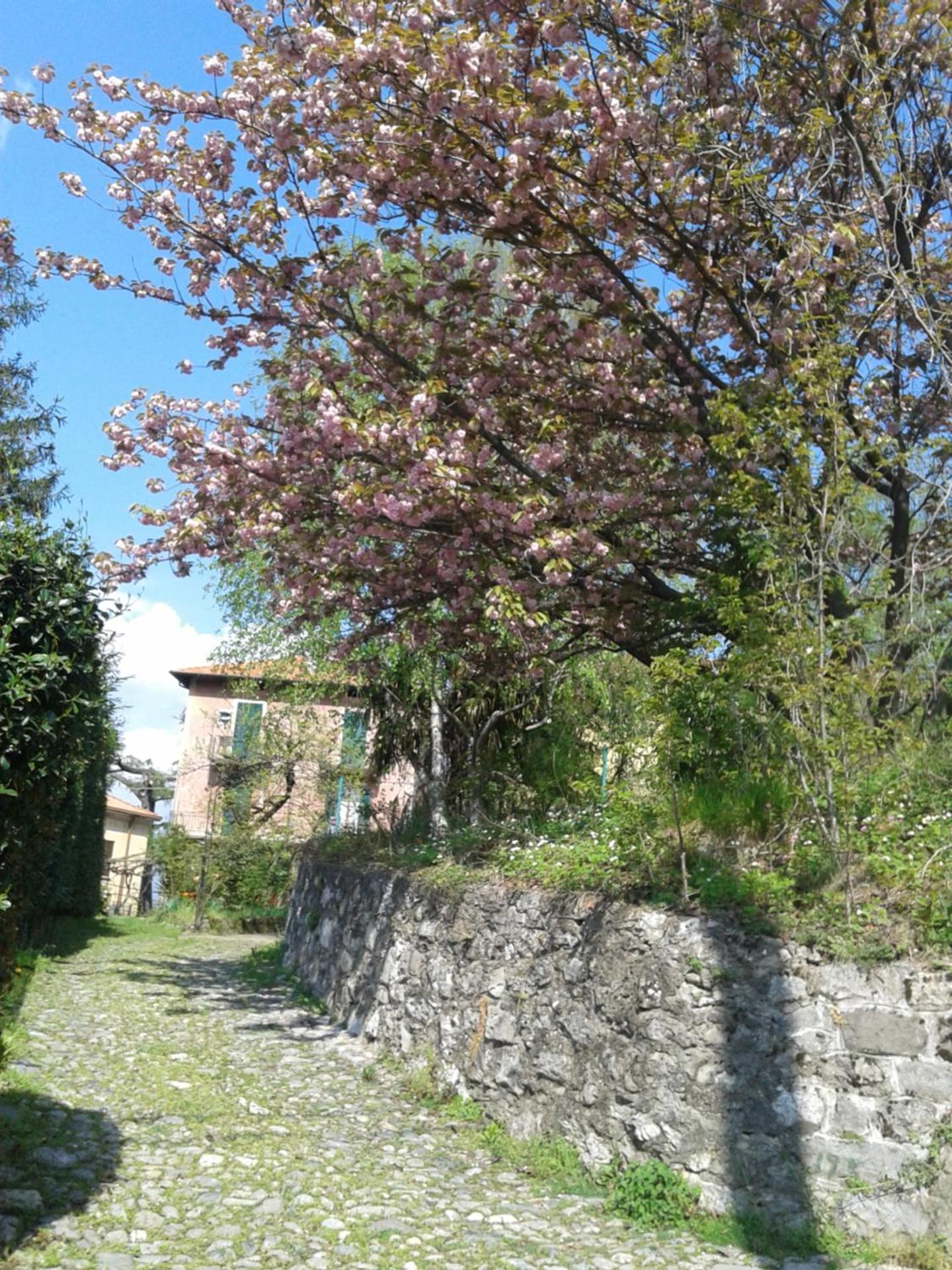 Una FINESTRA sul LAGO view 5