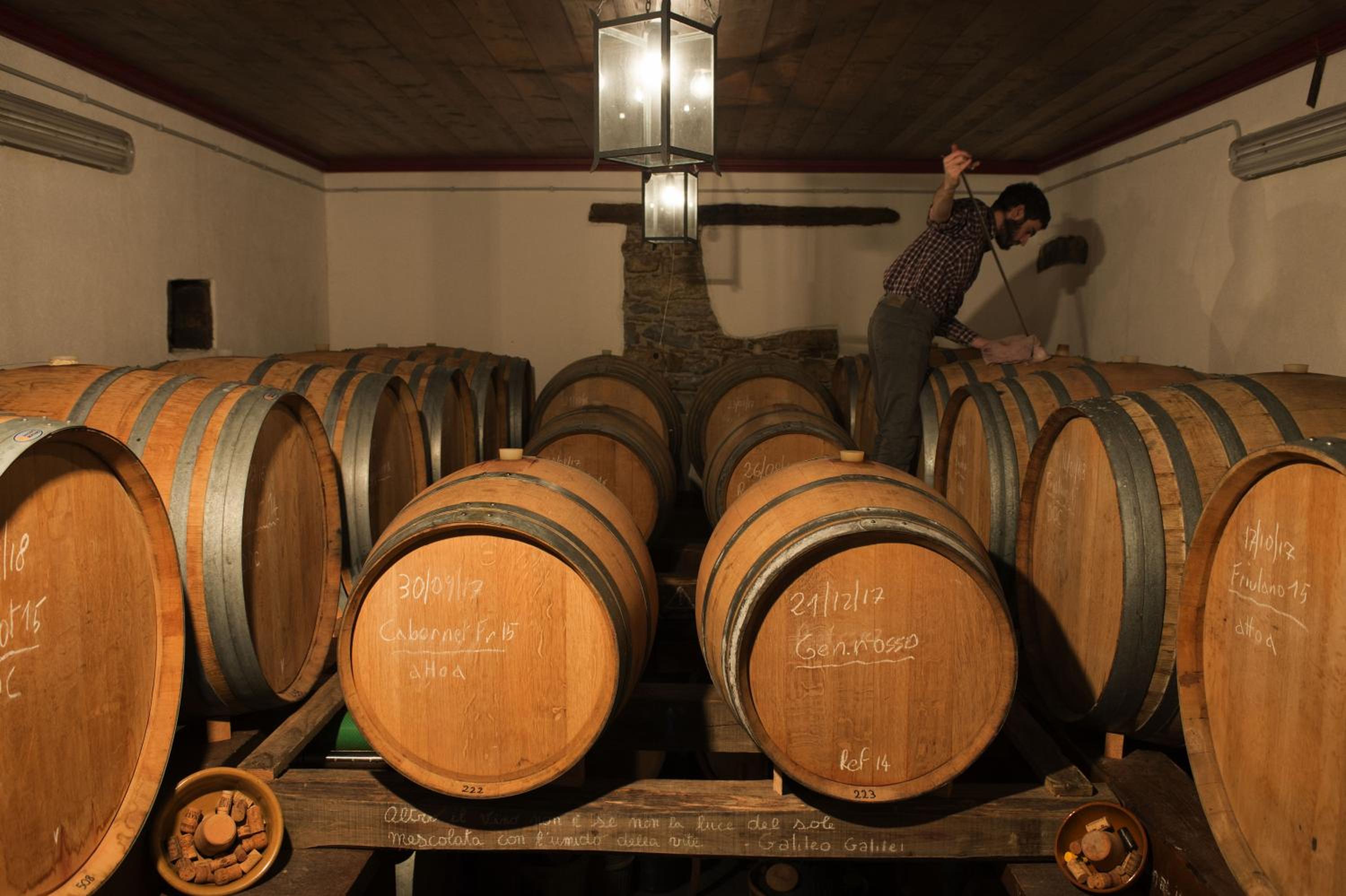 Casali del Picchio - Winery
