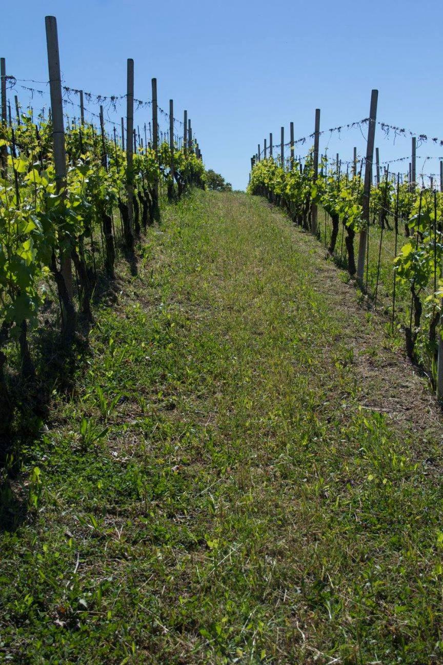 Agriturismo Poderi Zunino