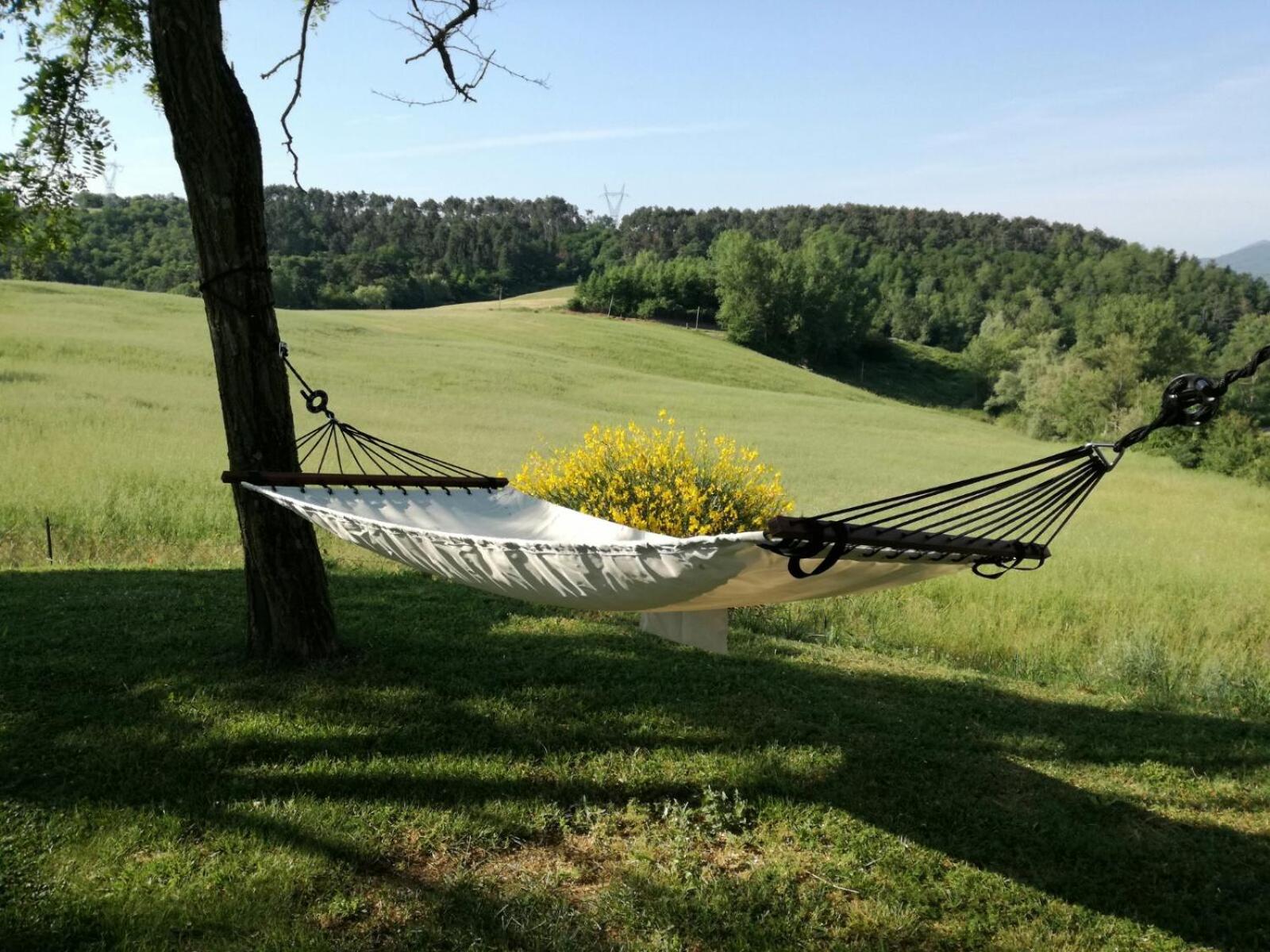 Il Vignolino