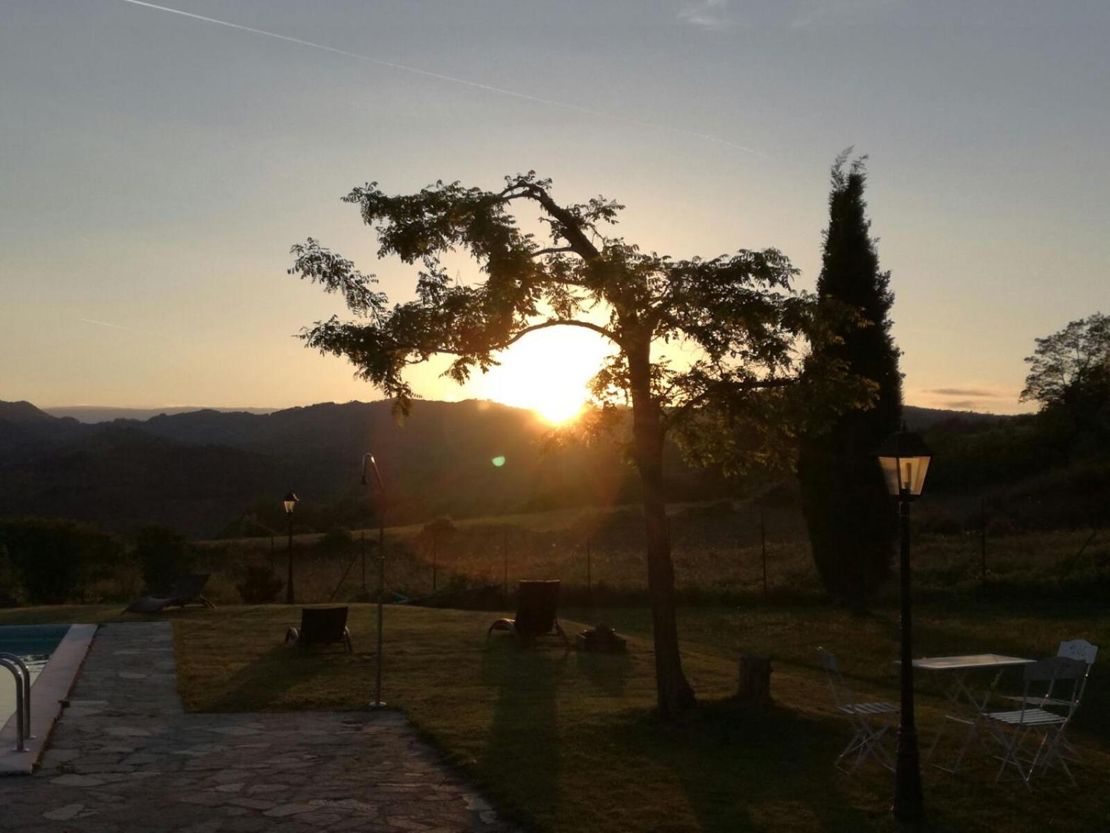 Il Vignolino