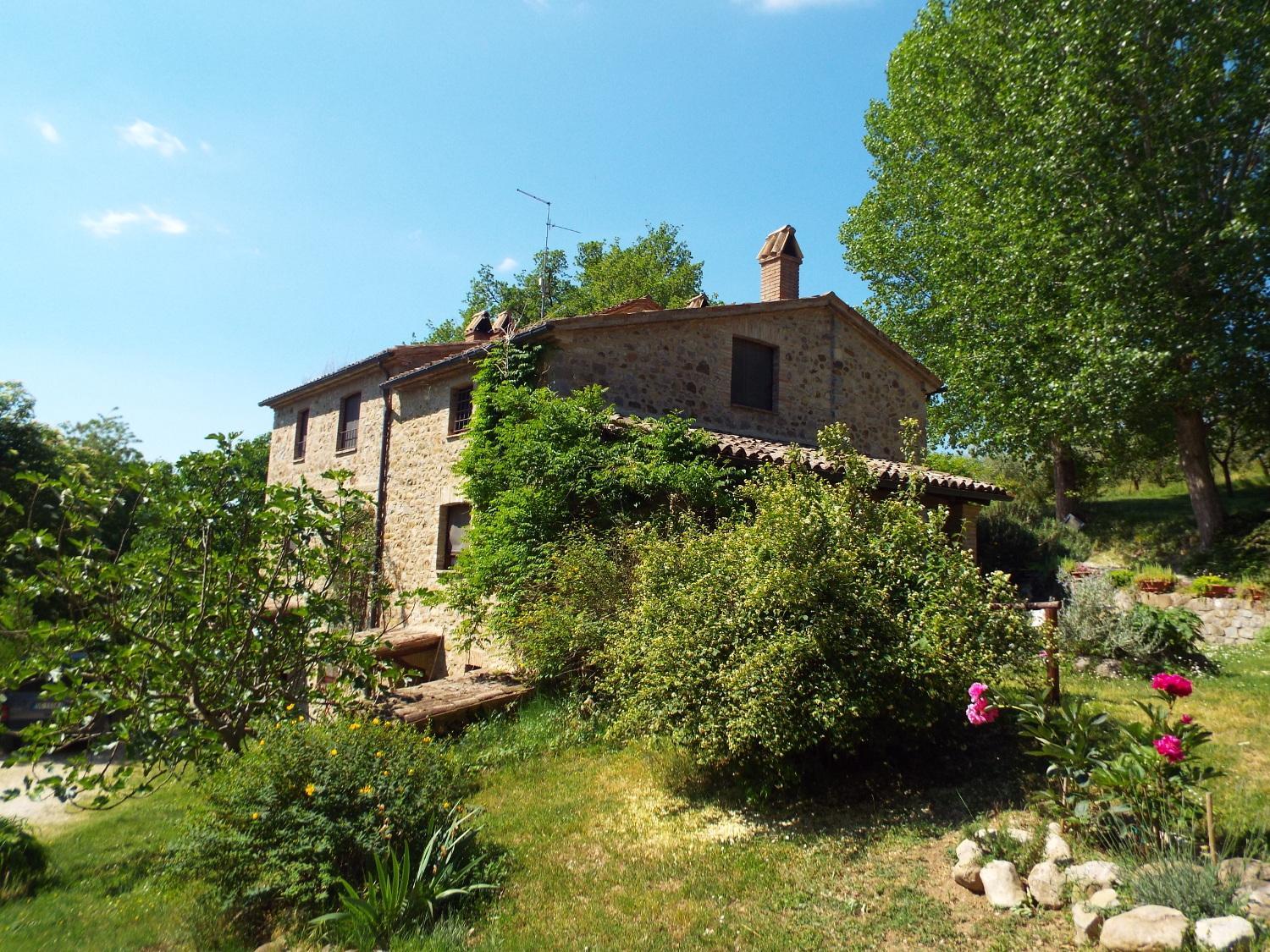 Photo 42
