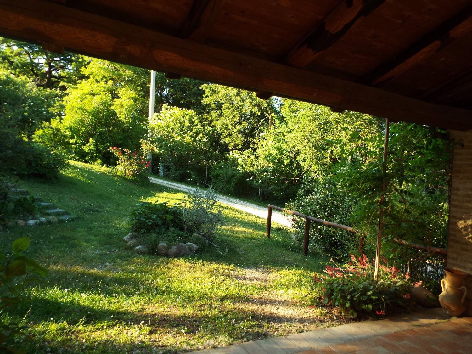 Photo 49