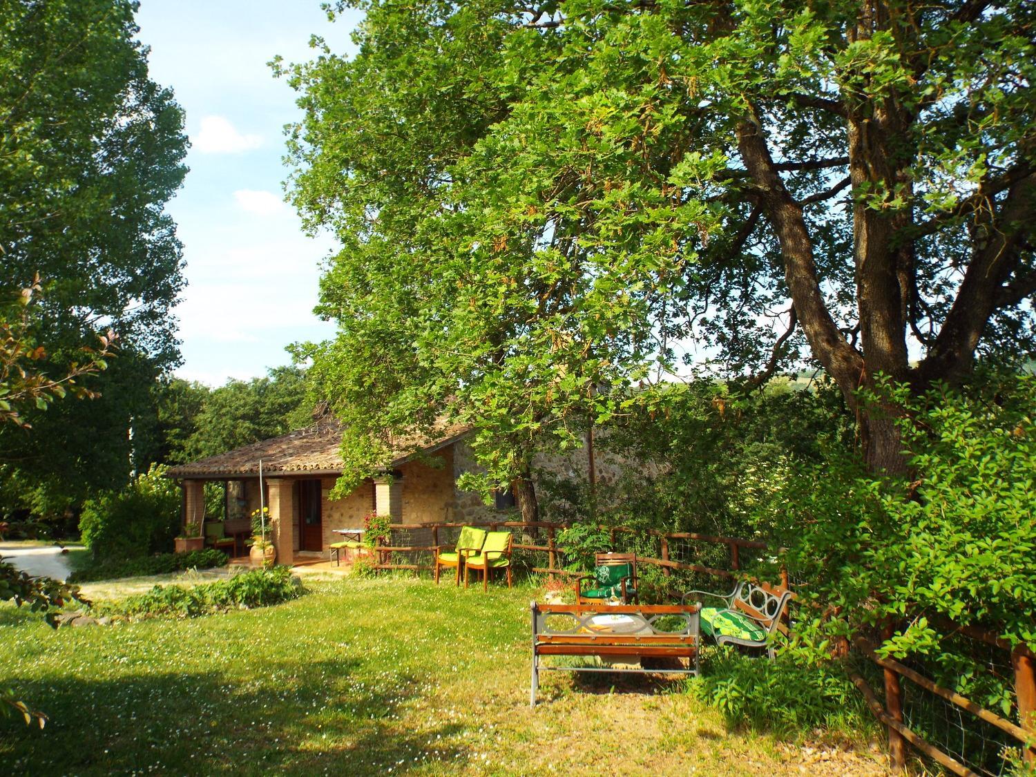 Photo 11