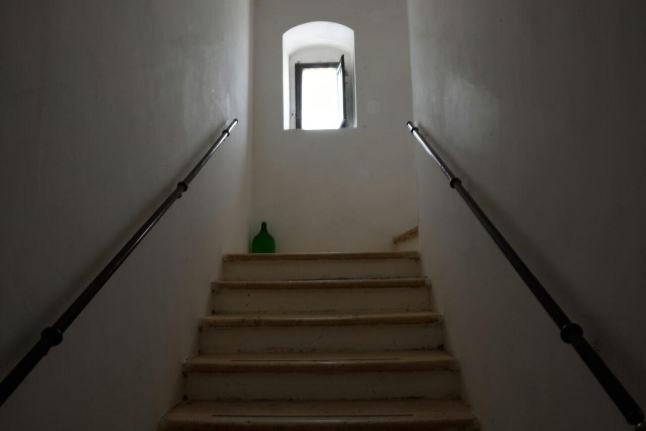 Photo 50