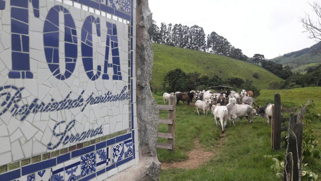 Toca - Bairro Serrano