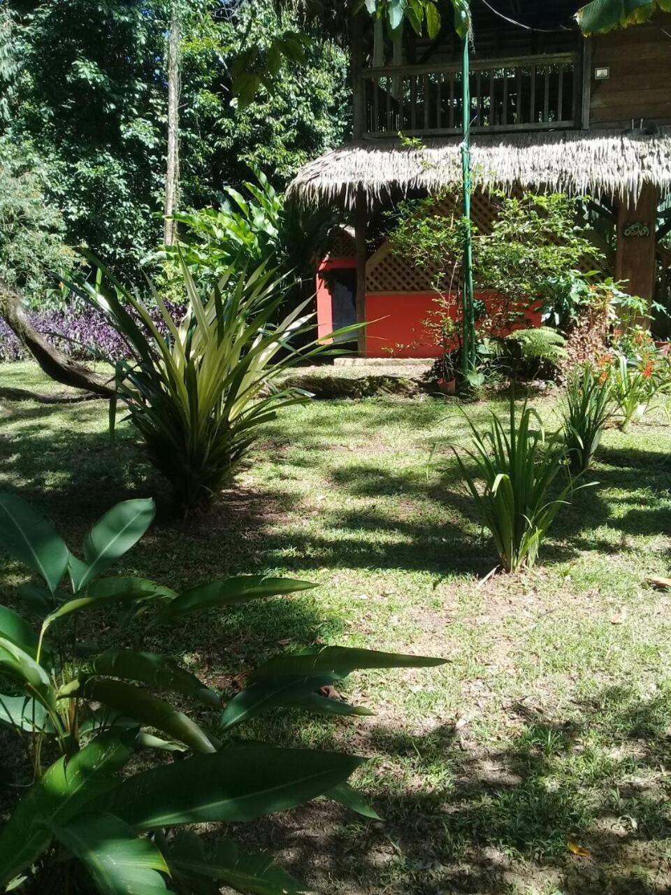 Finca Valeria Treehouses Glamping