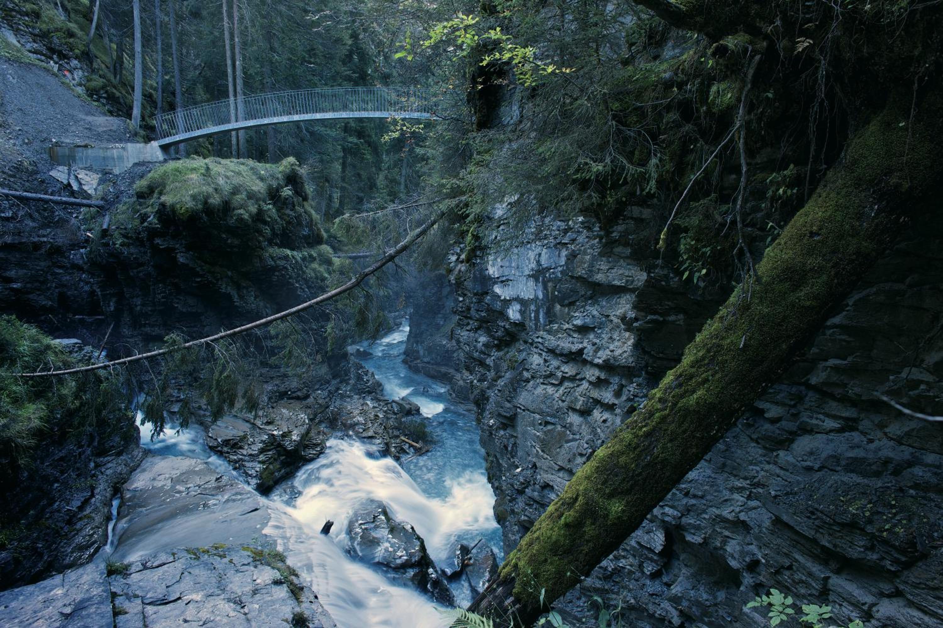 Photo 25