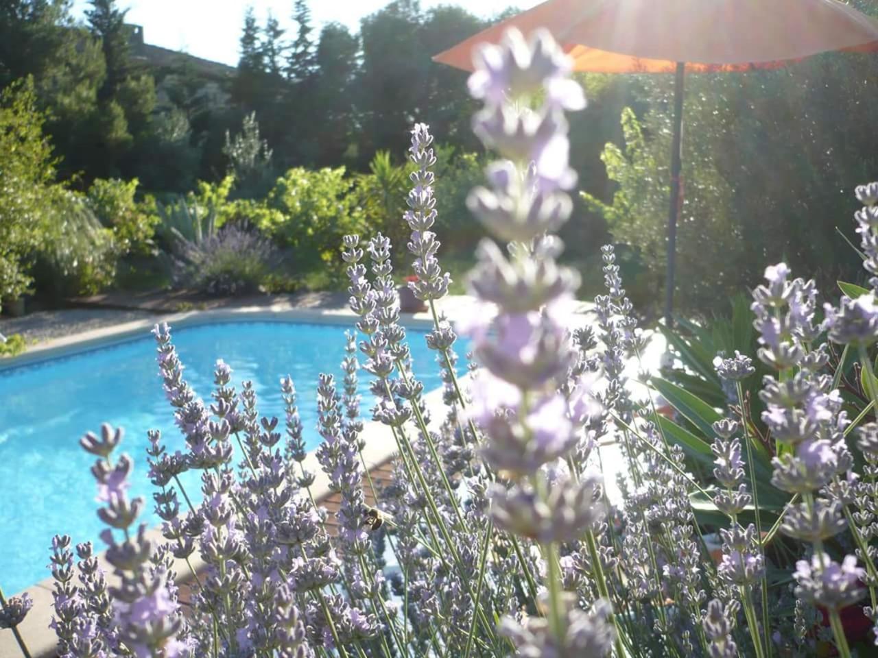 La Lucques Masabelle