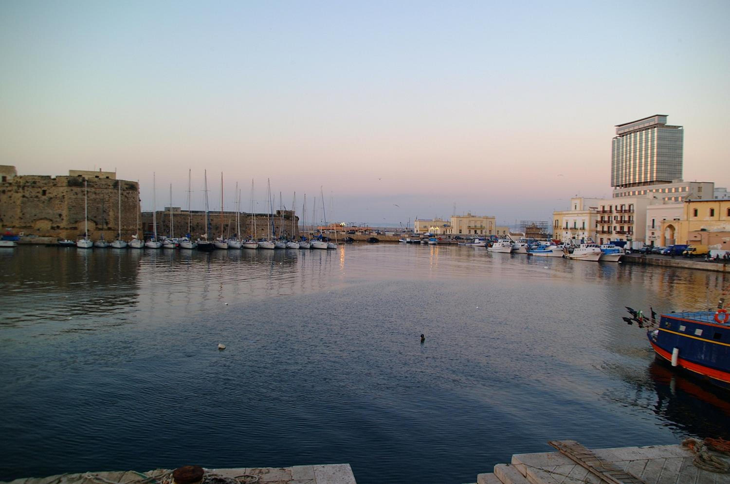 Photo 42