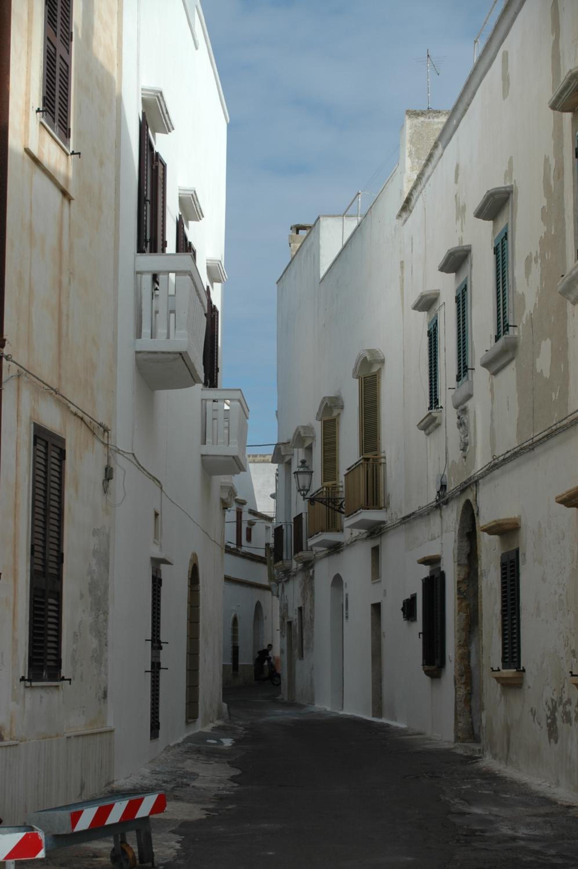 Photo 50