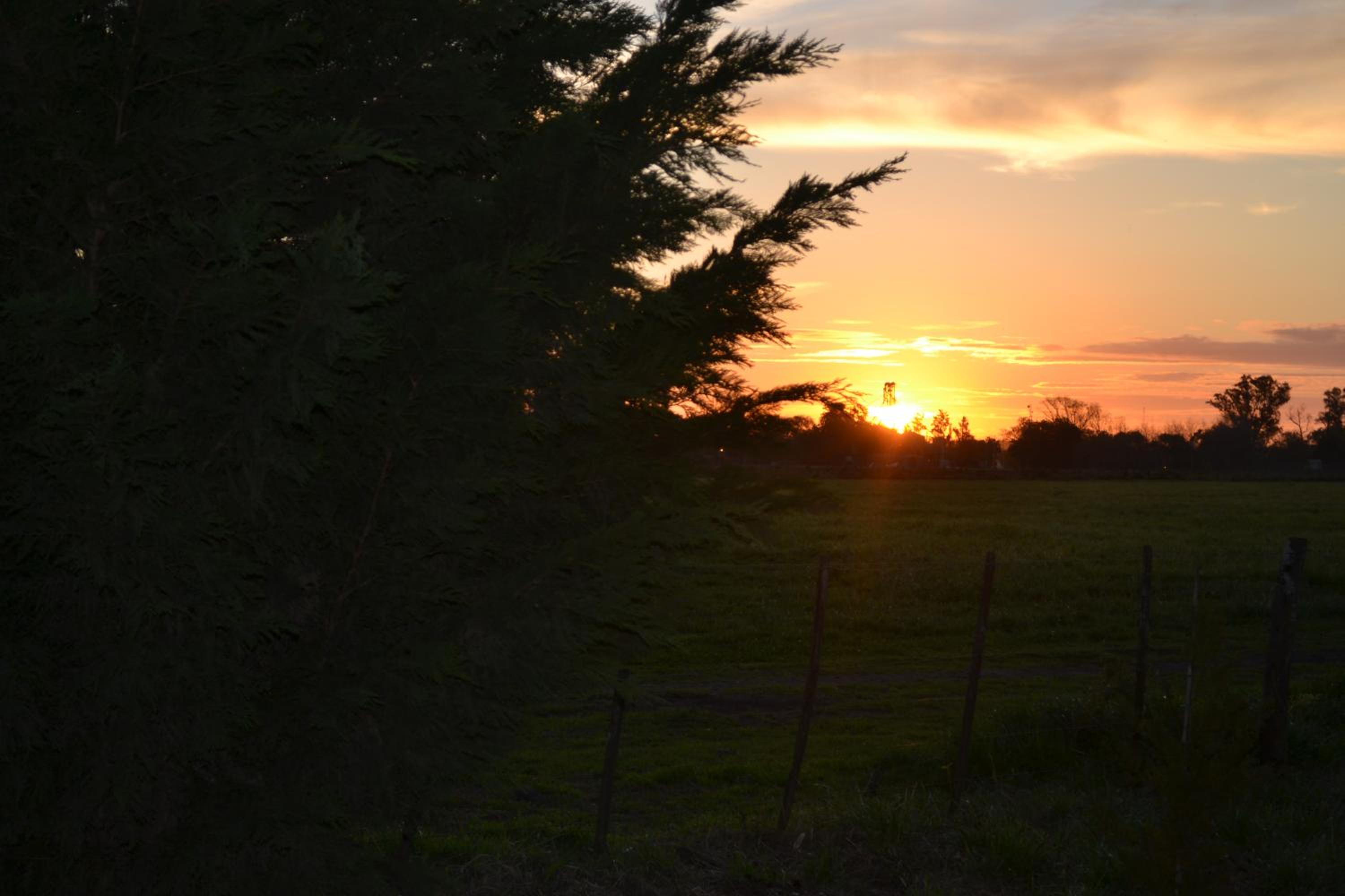Casa Mansa Puro Campo, photo 34