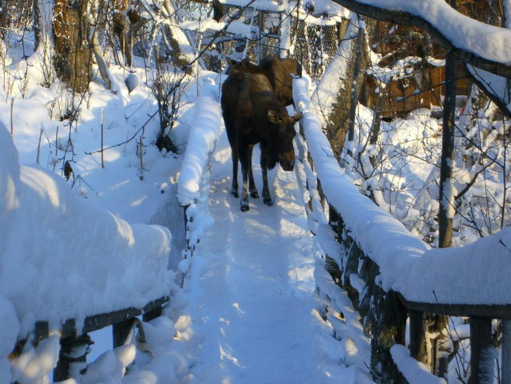 Homer Vacations - Brigitte's Bavarian Bed und Breakfast - Property Image 56