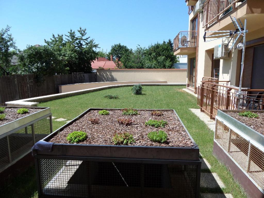 Rex Apartman view 5