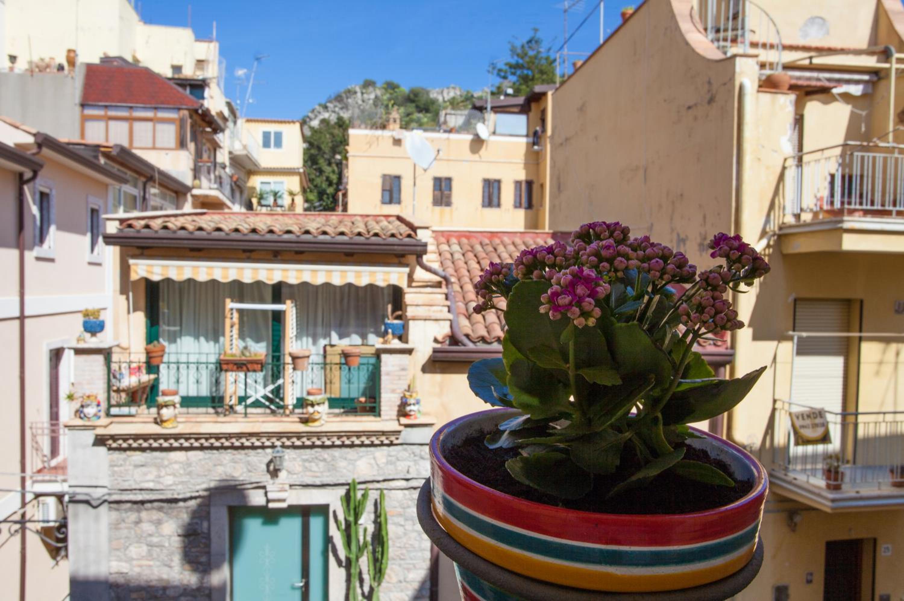 Casa Don Micio view 4