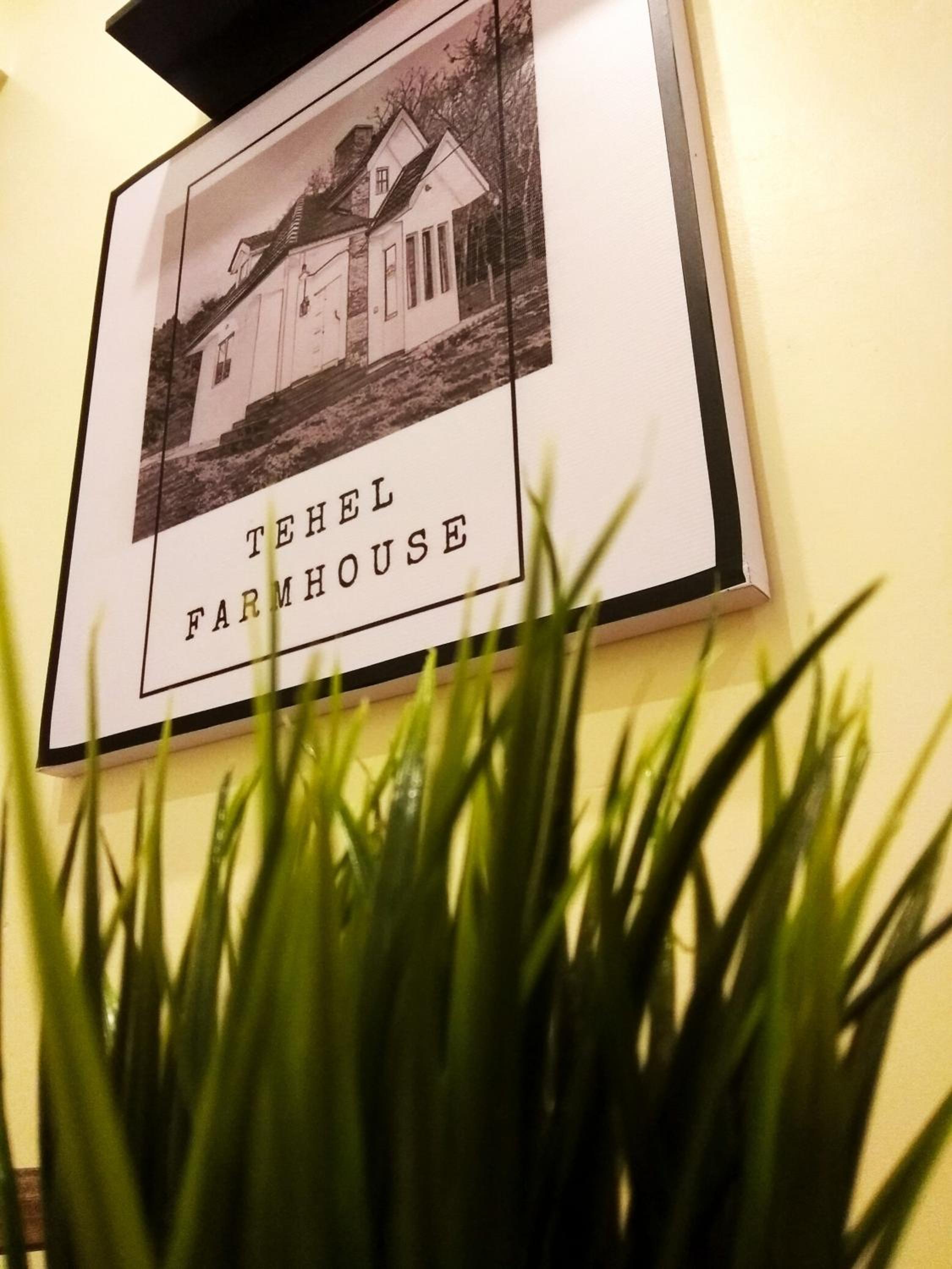 Tehel Farmhouse photo 2
