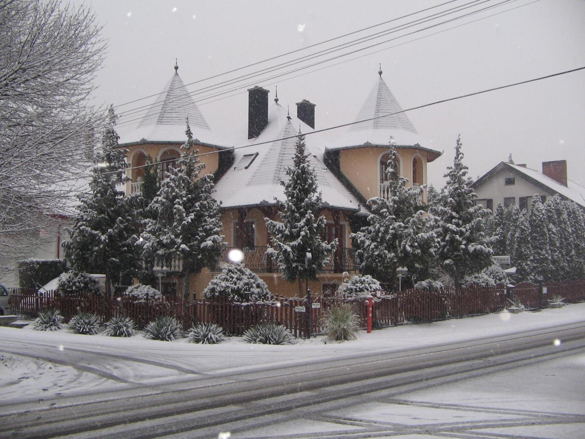 Photo 41