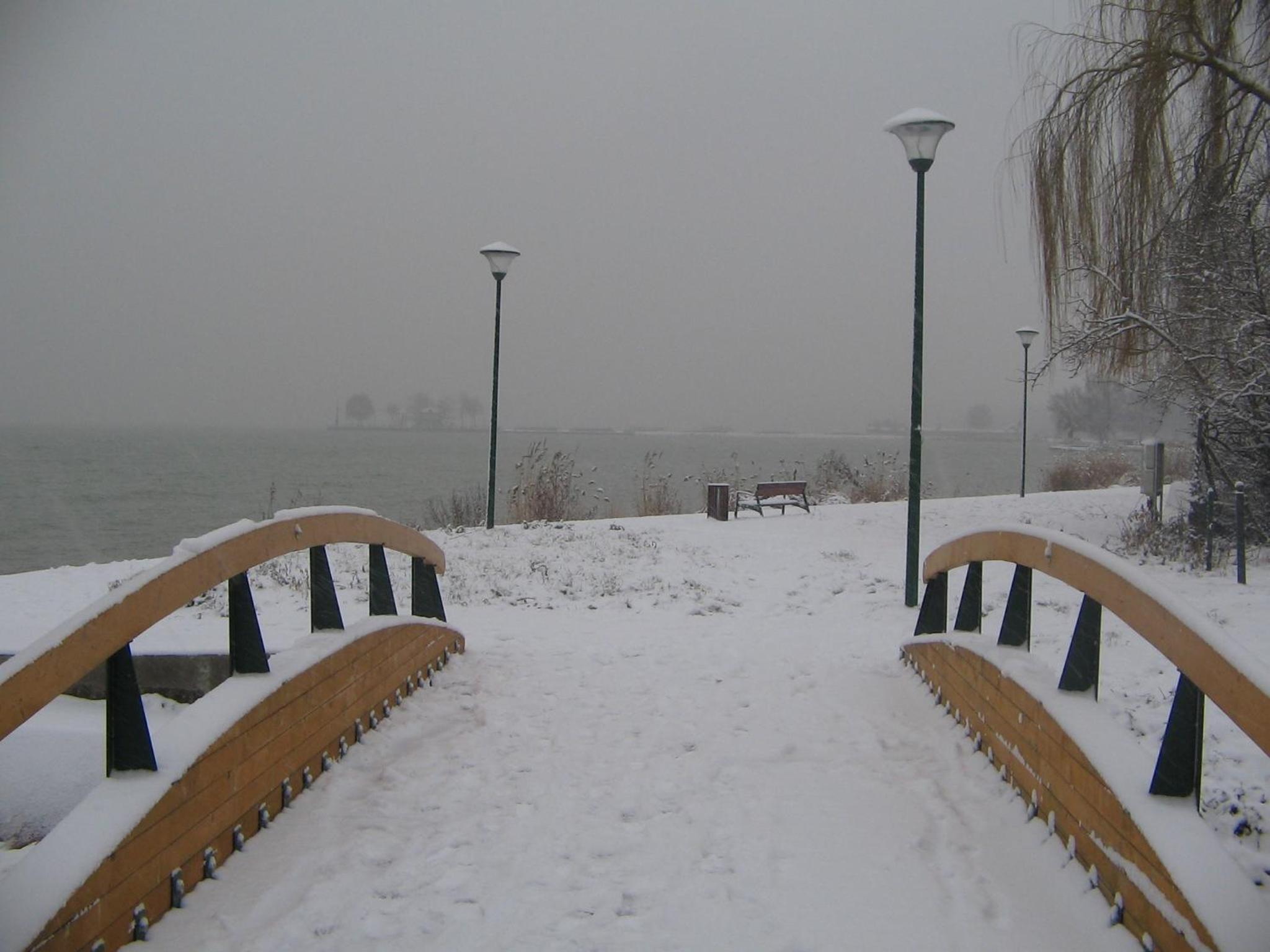 Photo 44