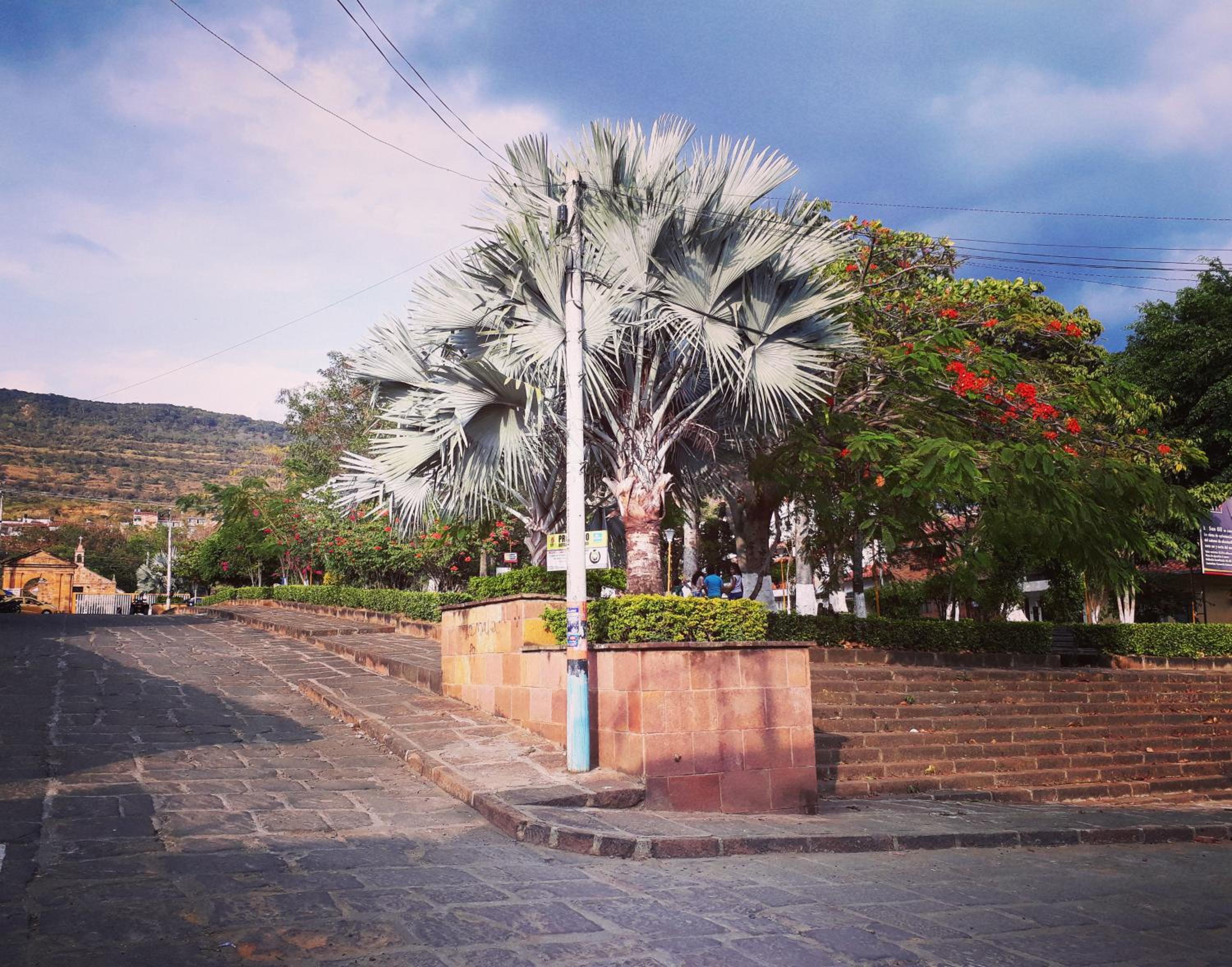 la casa de la nona