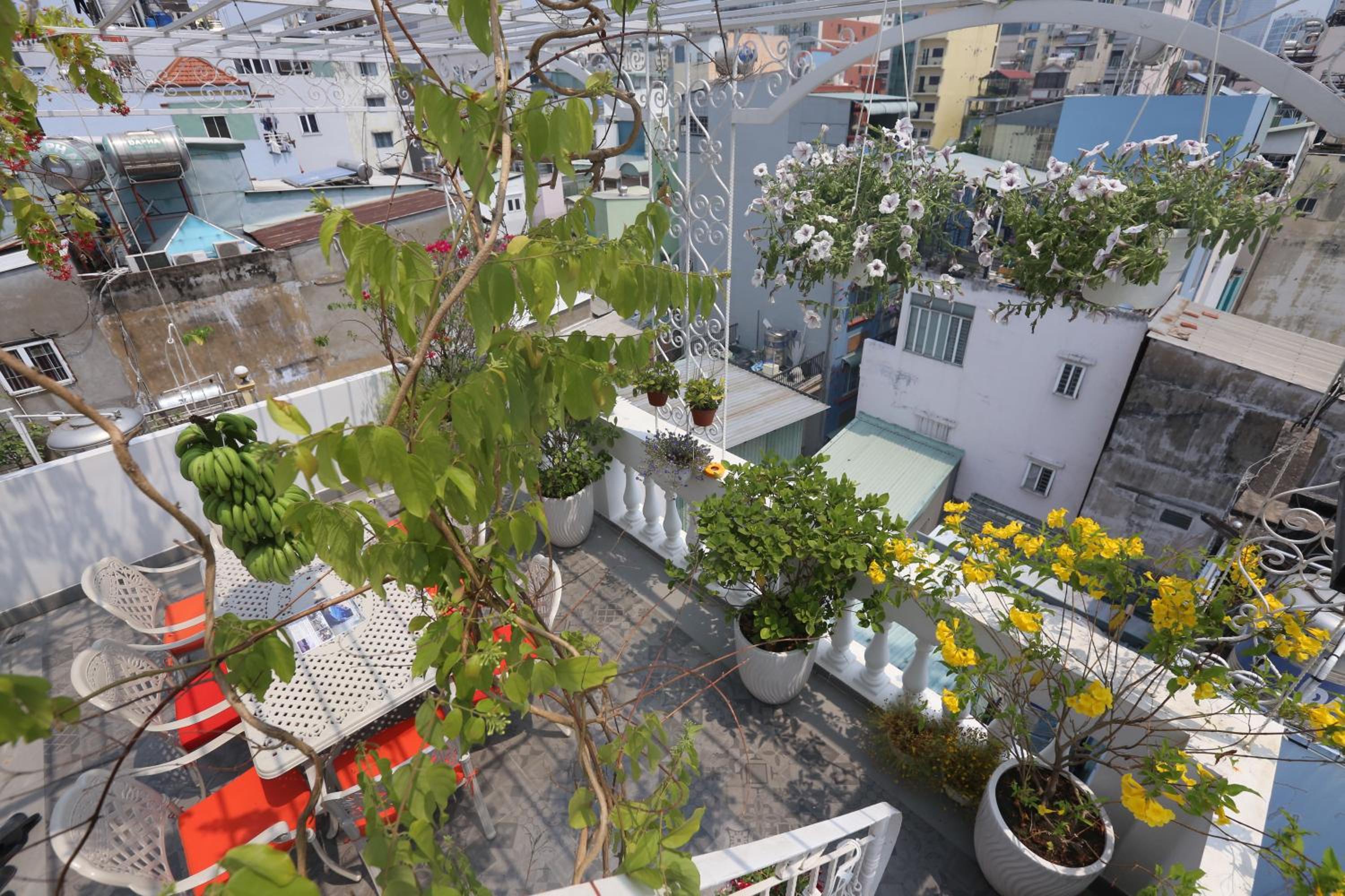 roof