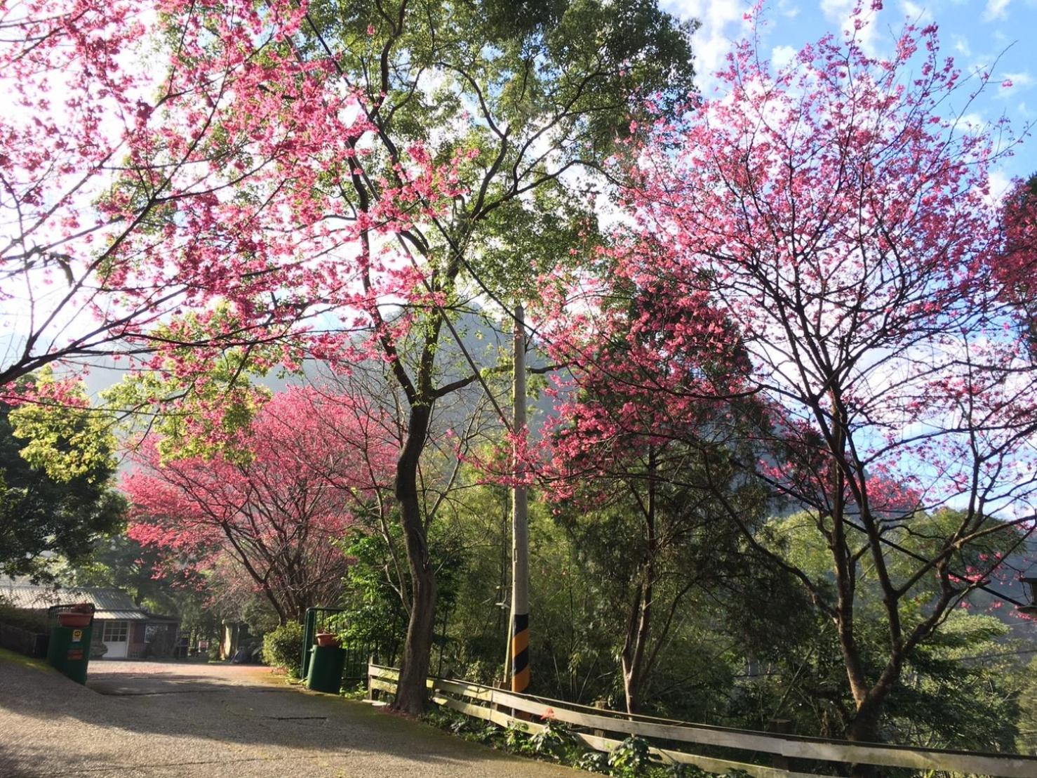 Xianshan Homestay