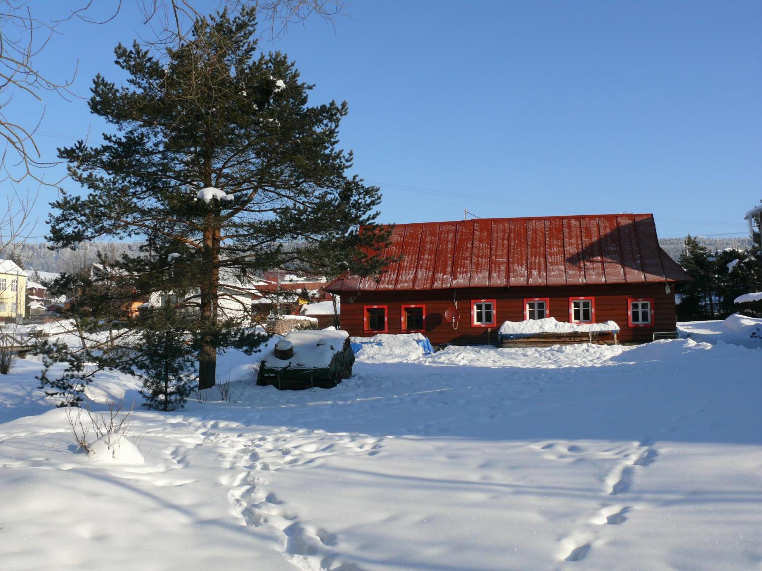 Photo 8