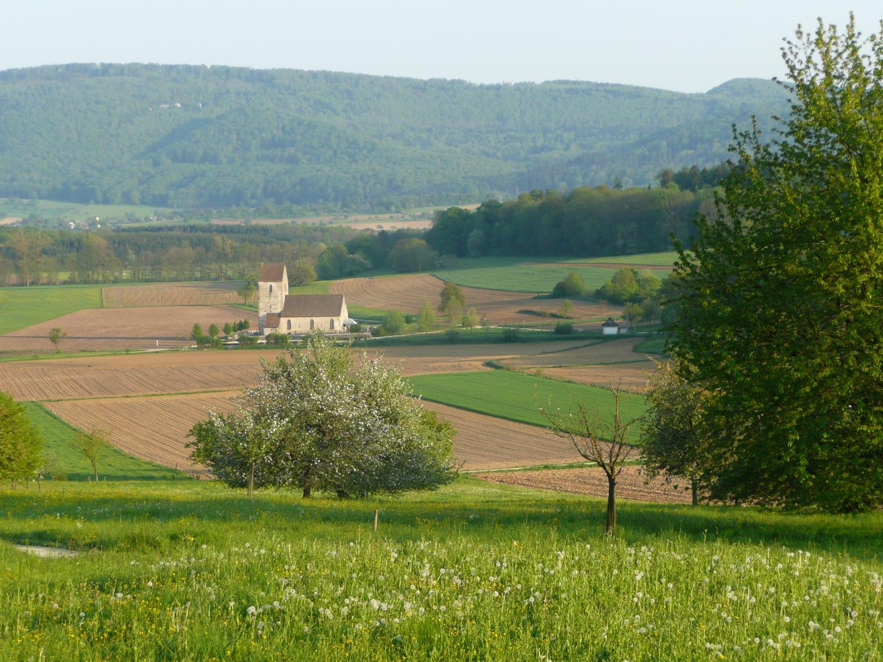 Photo 10
