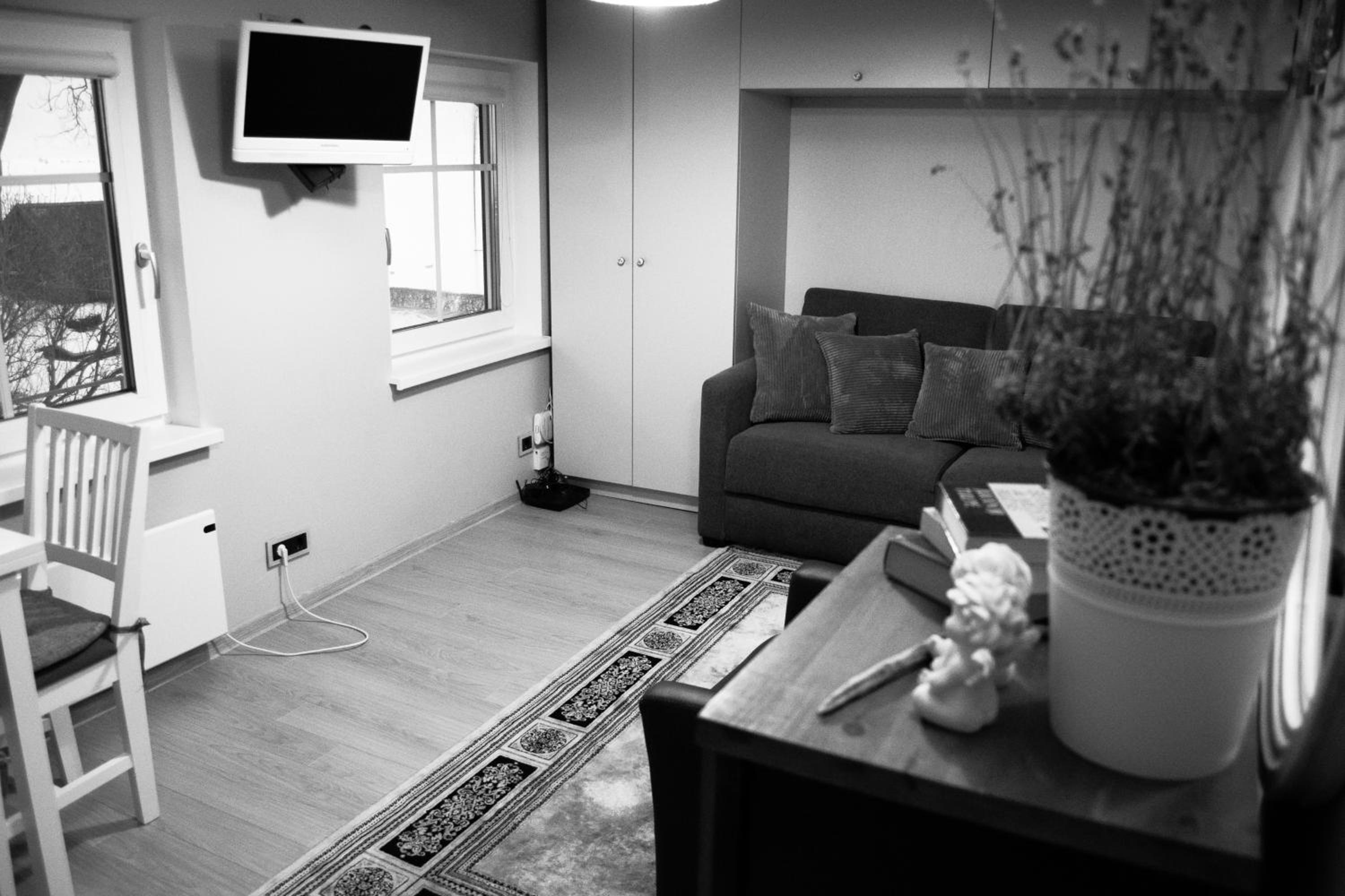 Skruzdynės Apartamentai