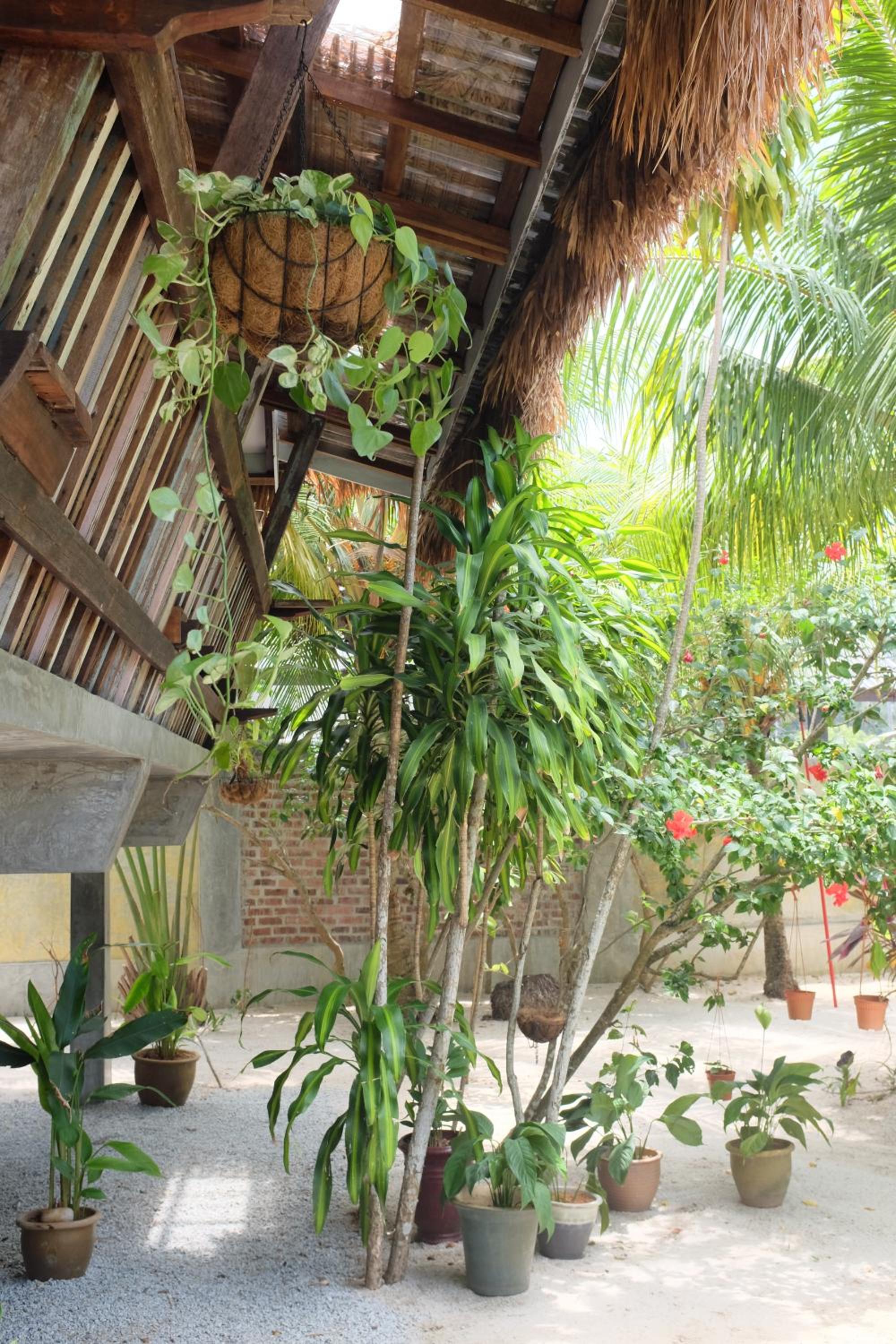 Panji Panji Tropical Wooden Home