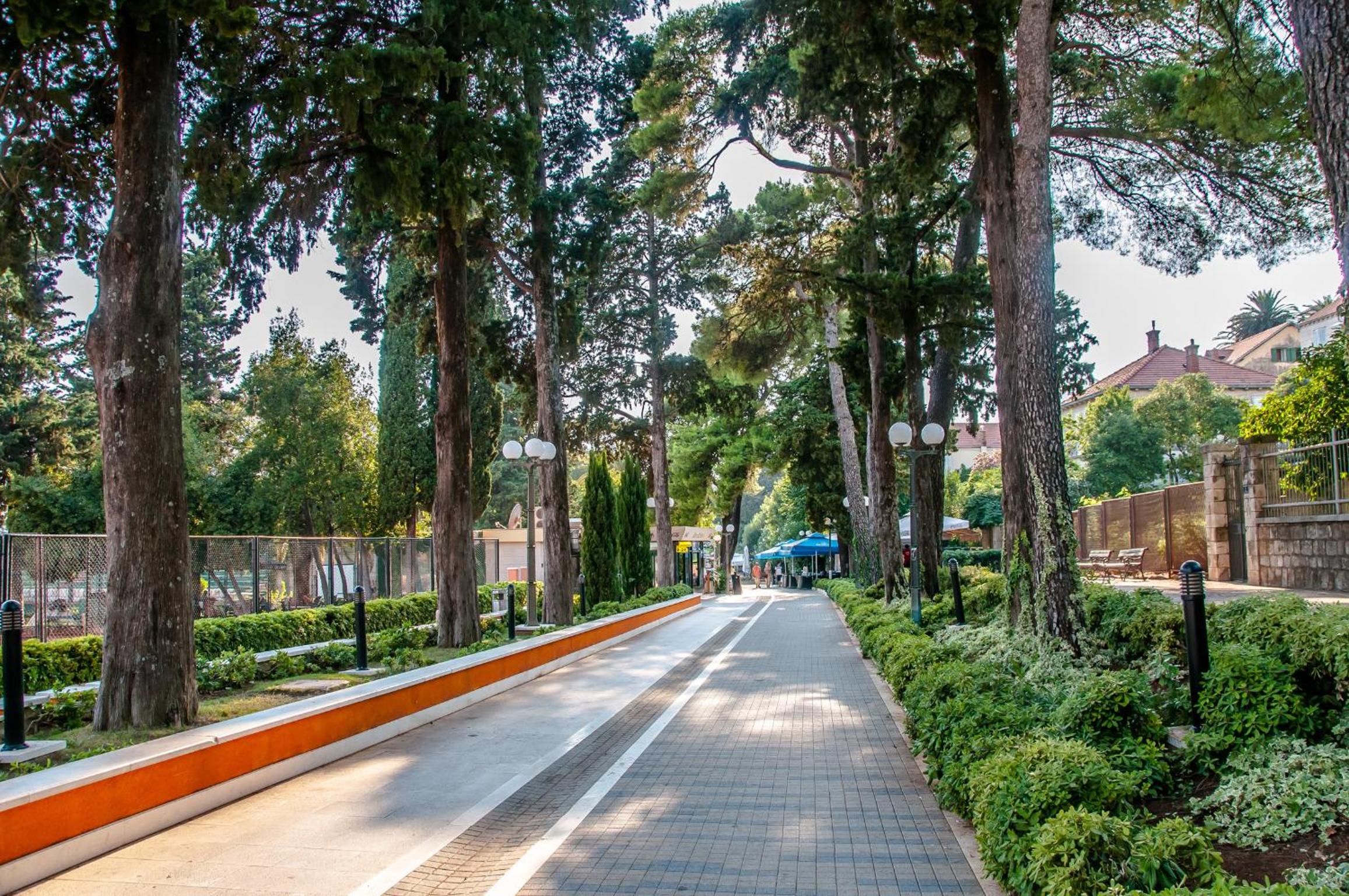 Avenue Apartment