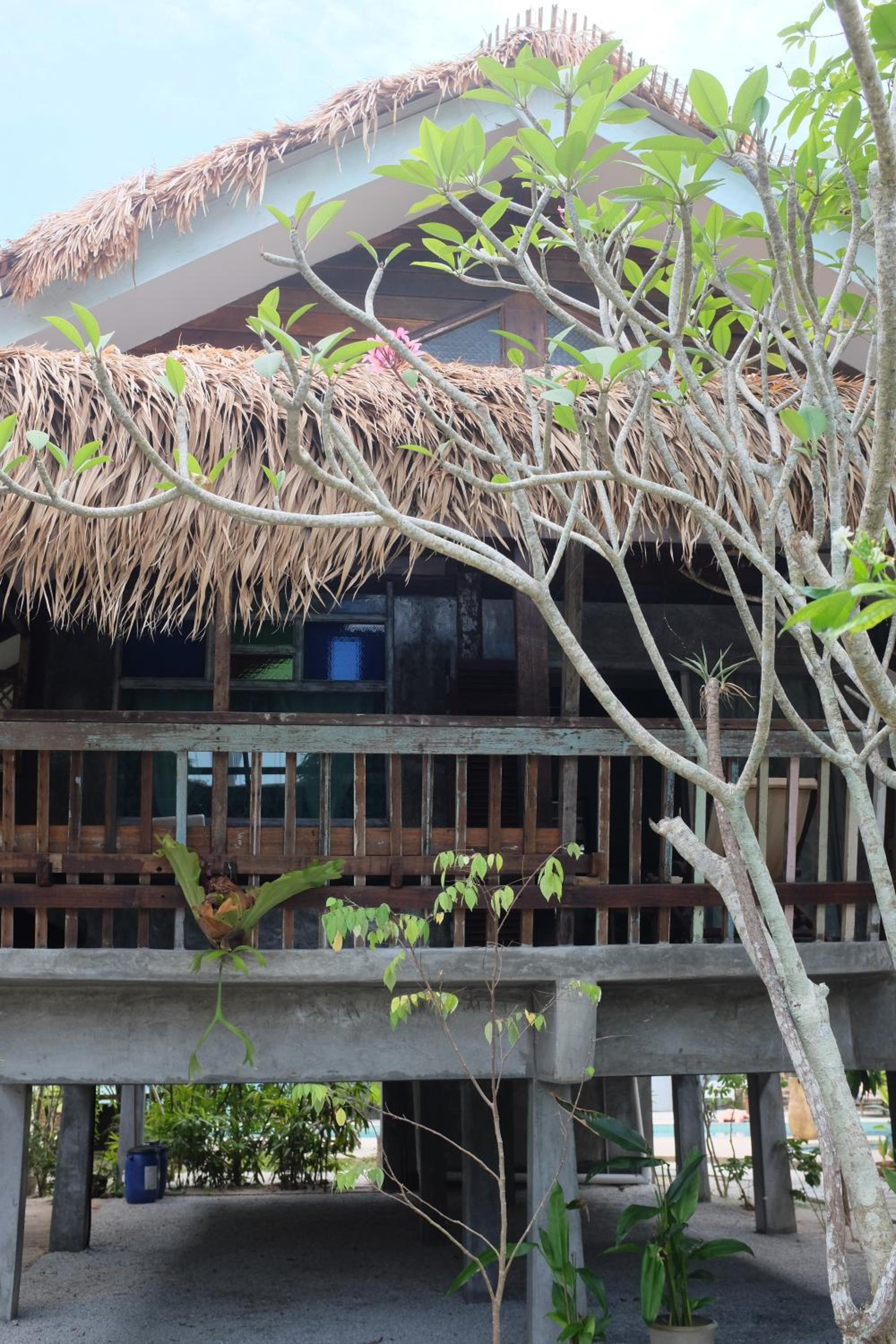 Panji Panji Tropical Wooden Home