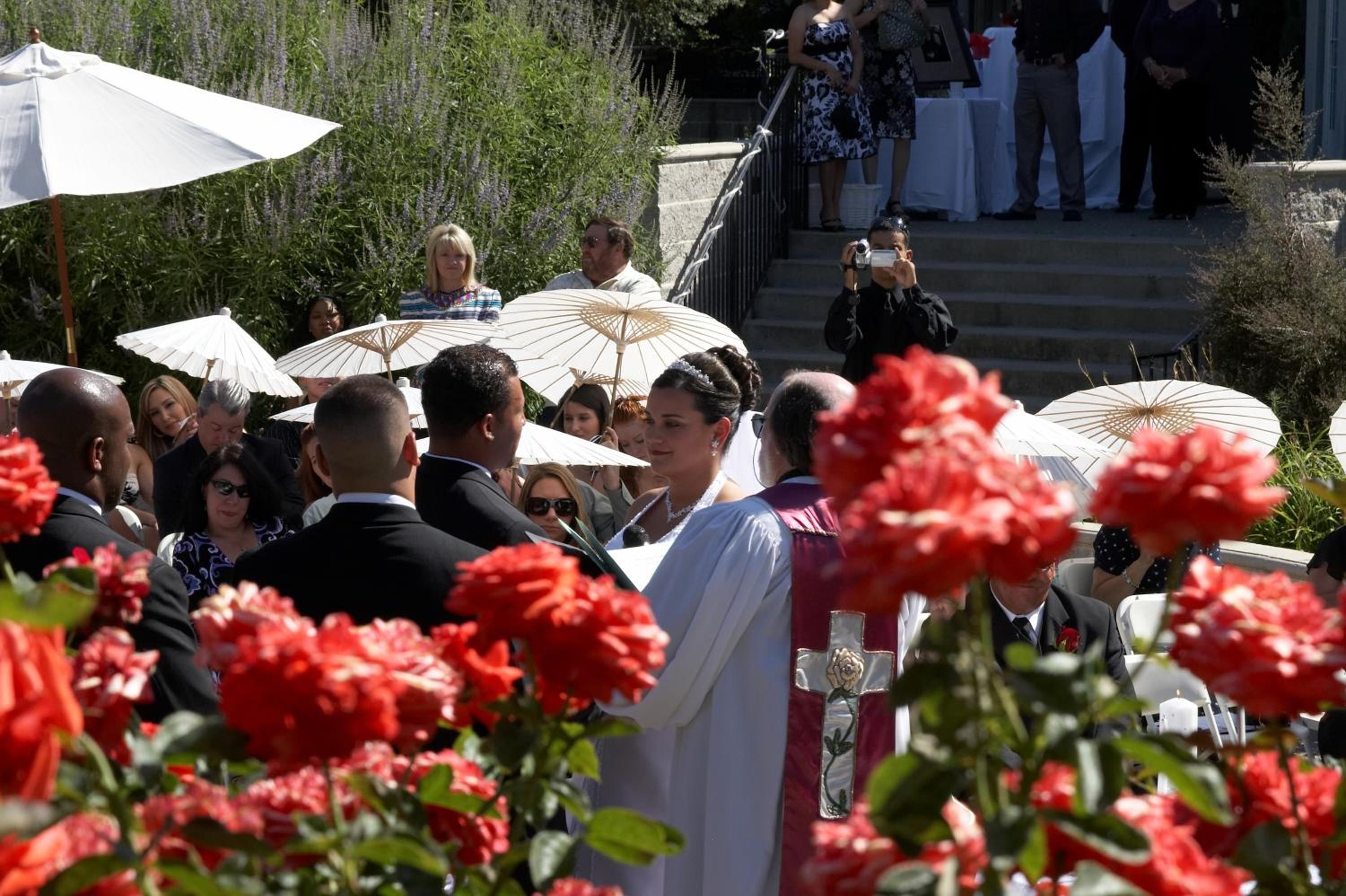 Rocklin Park Hotel - Property Image 17