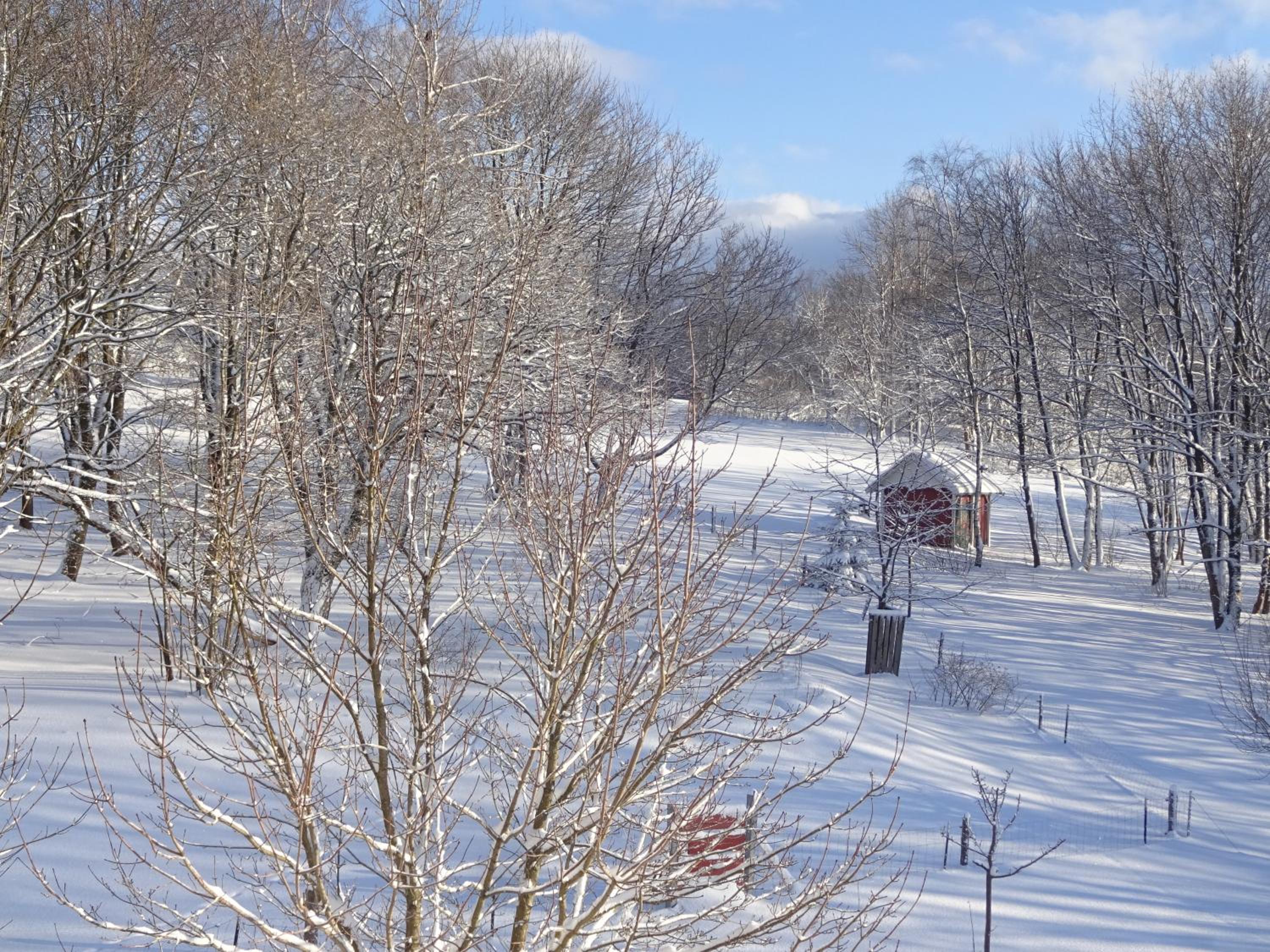 Ferienwohnung Schneemann