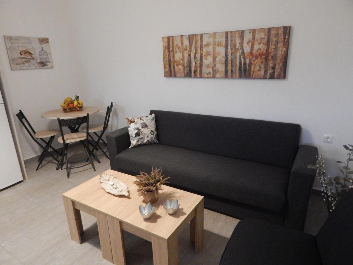 Psaromoura Apartment view 3