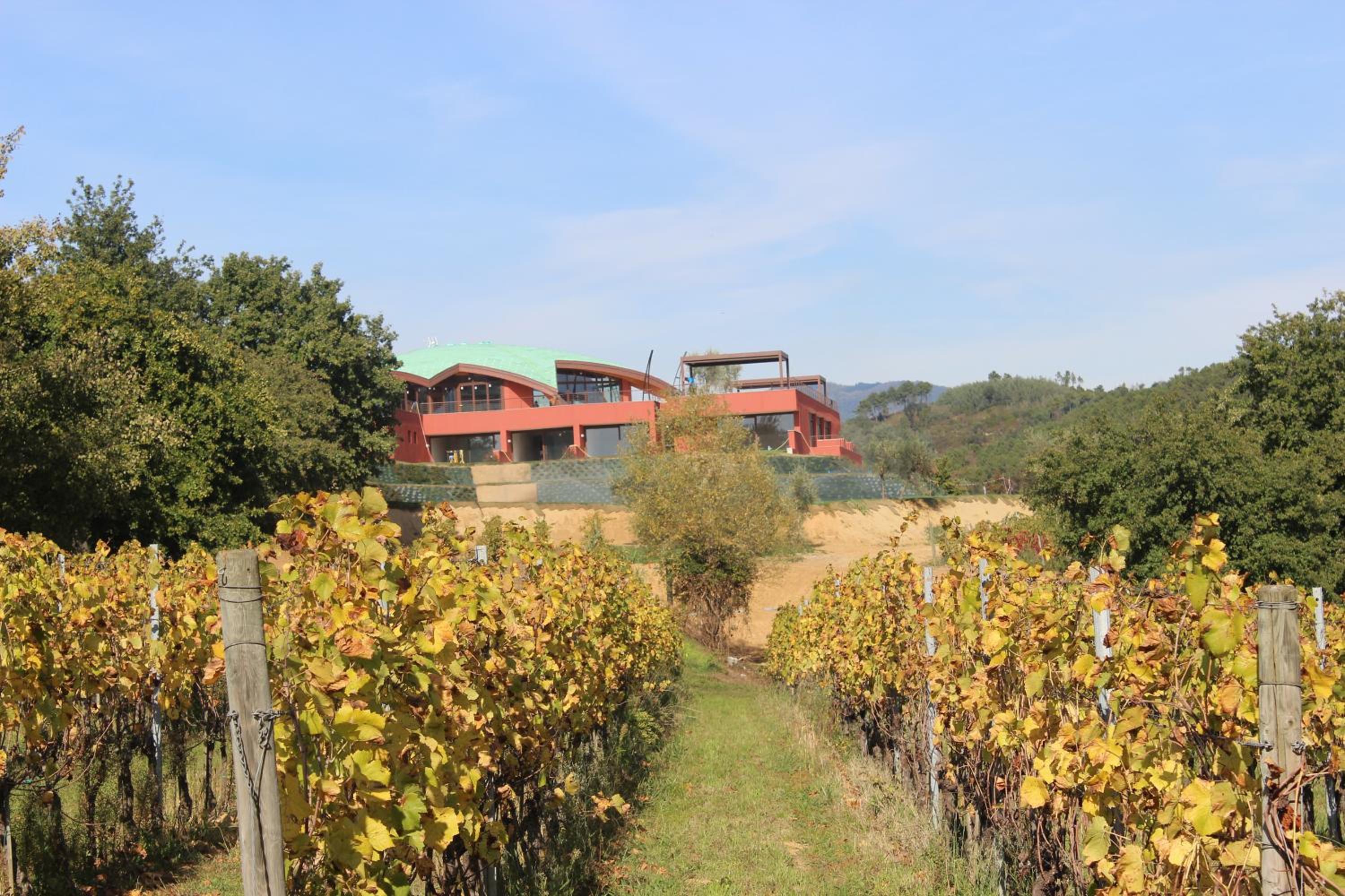 Buonamico Wine Resort