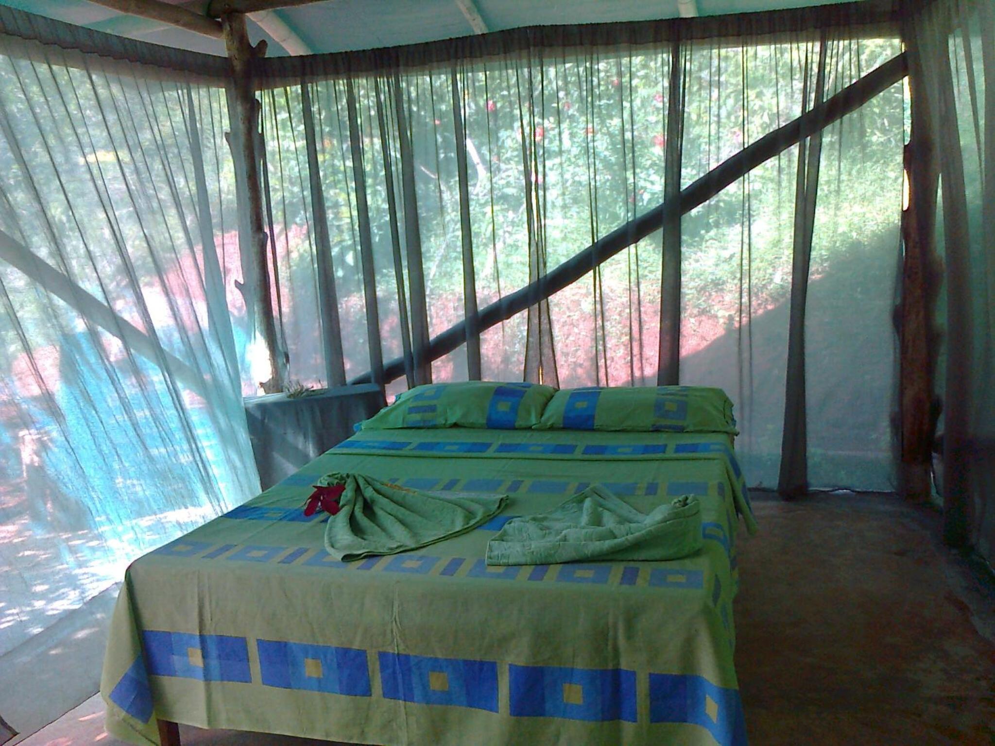 Isla Violin Eco-Lodge