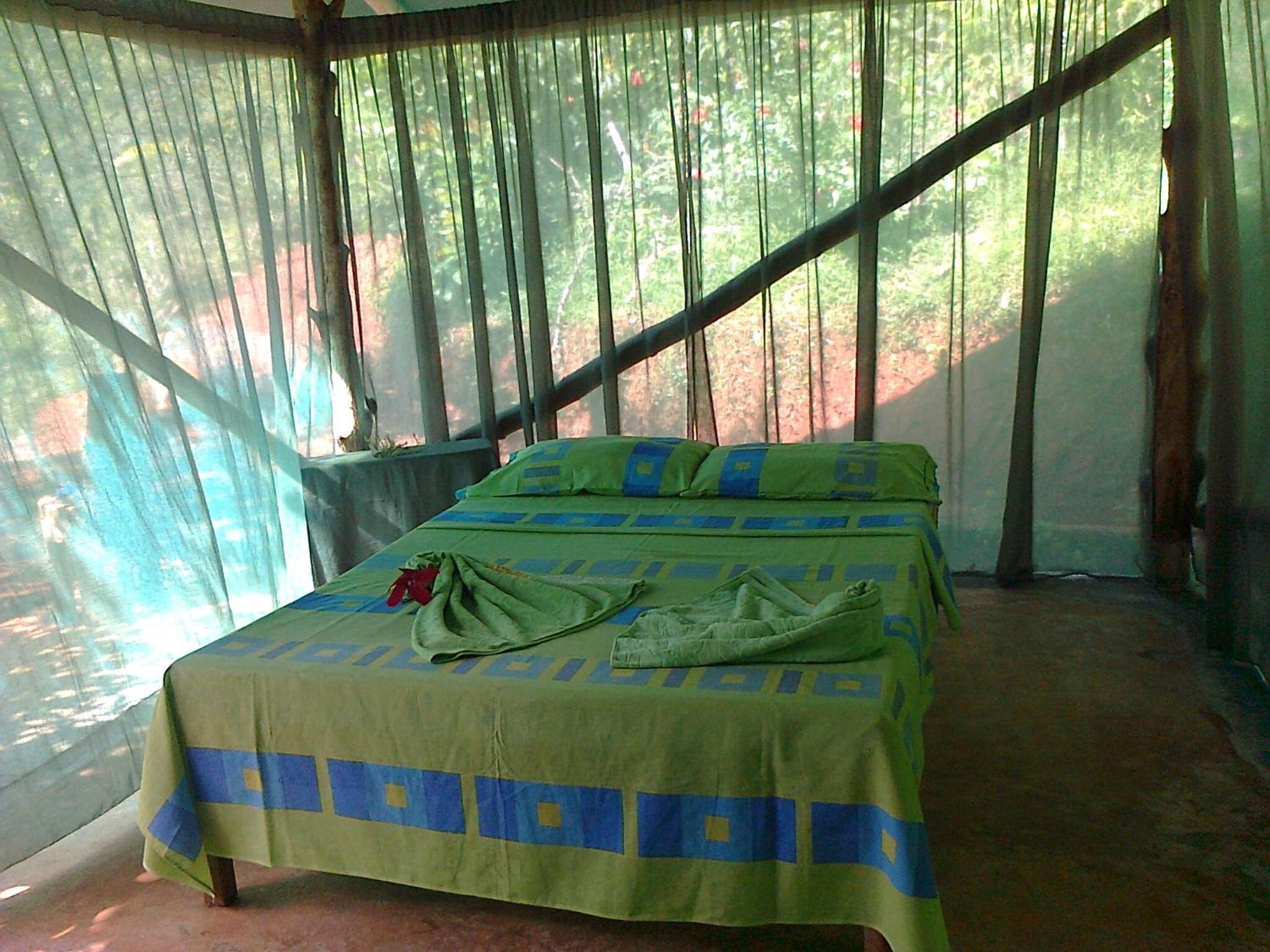 Isla Violin Eco-Lodge