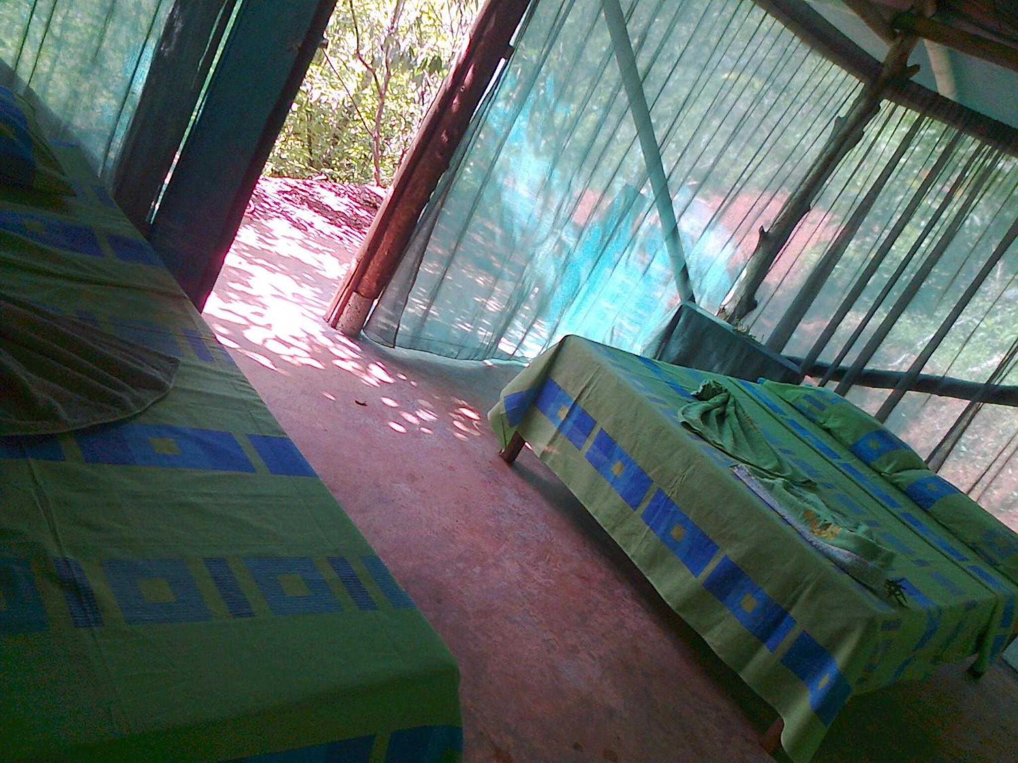 Isla Violin Eco-Lodge