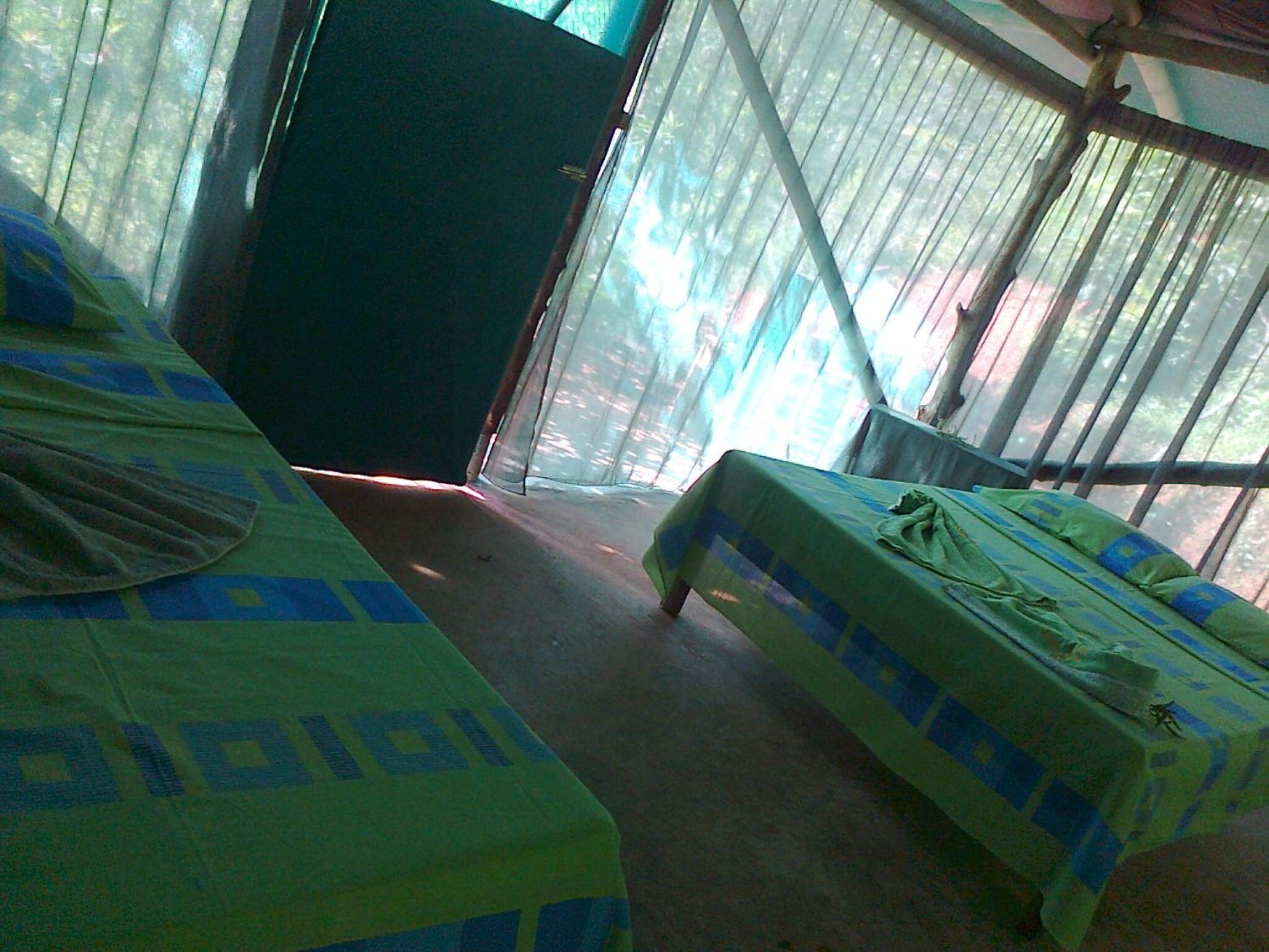 Isla Violin Eco-Lodge