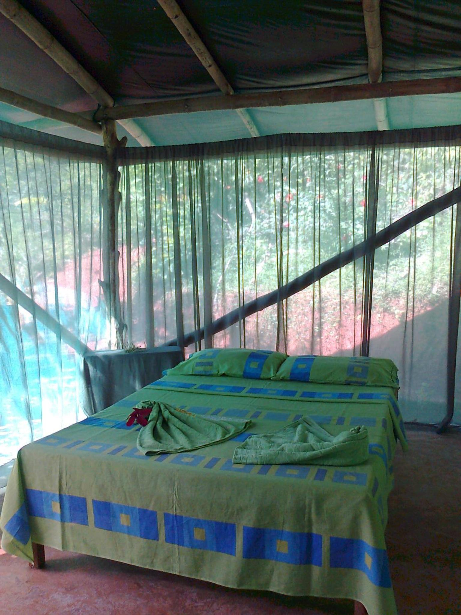 Isla Violin Eco-Lodge