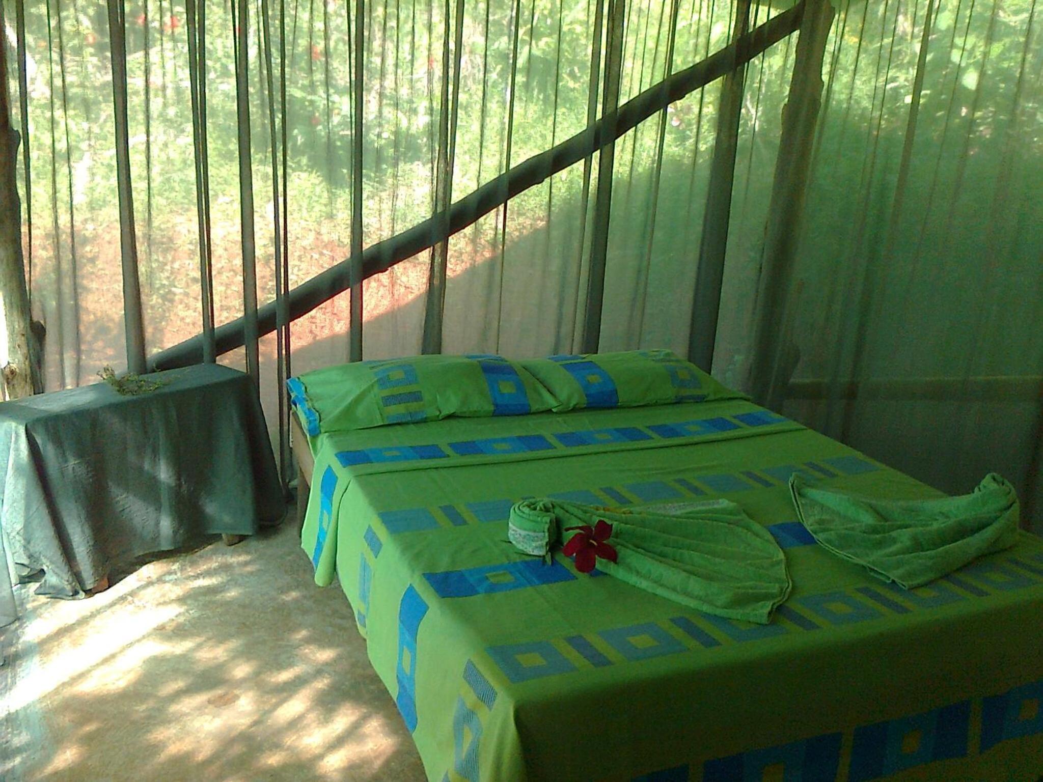 Isla Violin Eco-Lodge