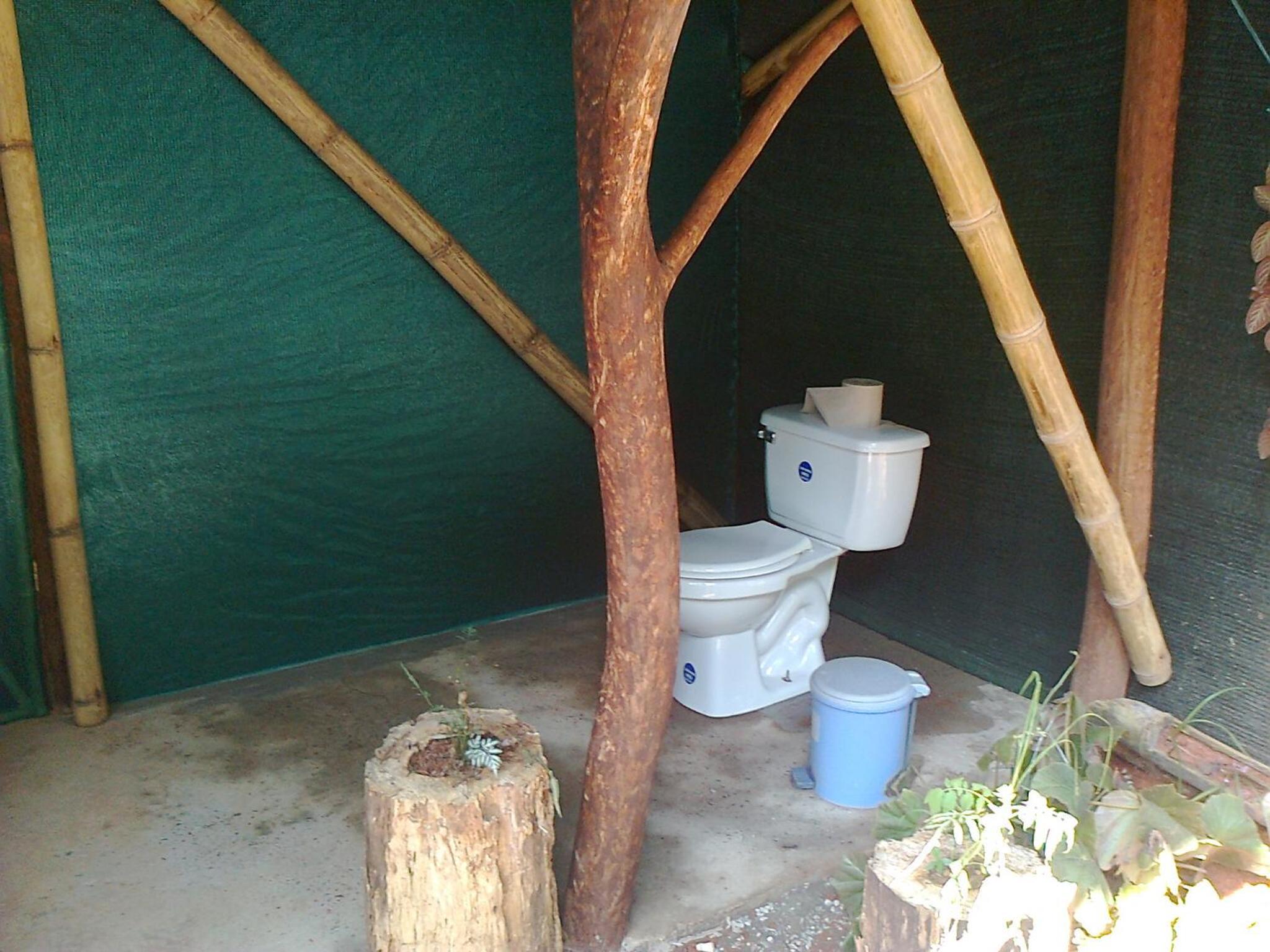 Isla Violin Eco-Lodge