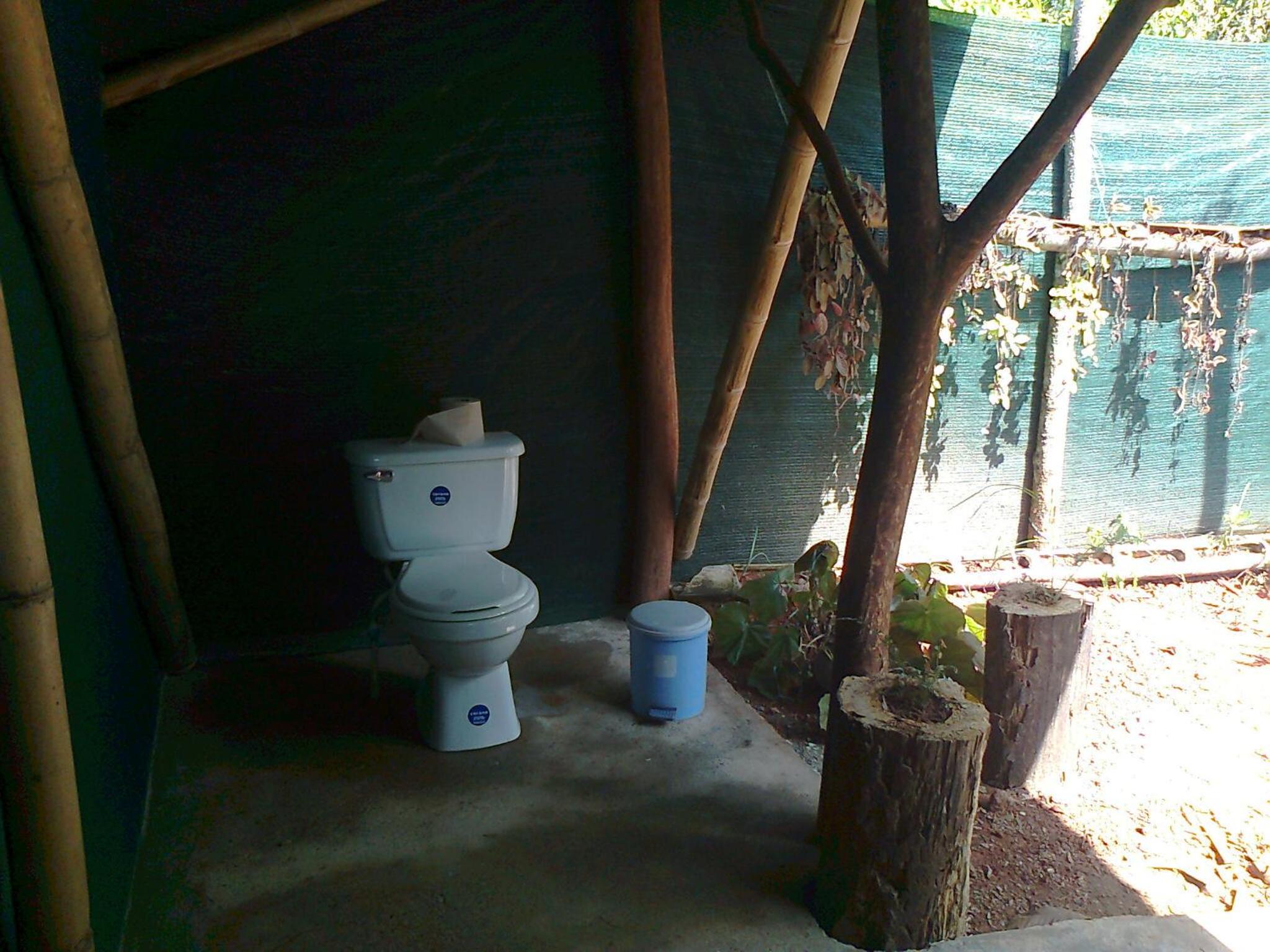 Isla Violin Eco-Lodge