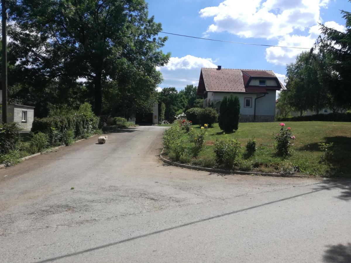 Photo 8