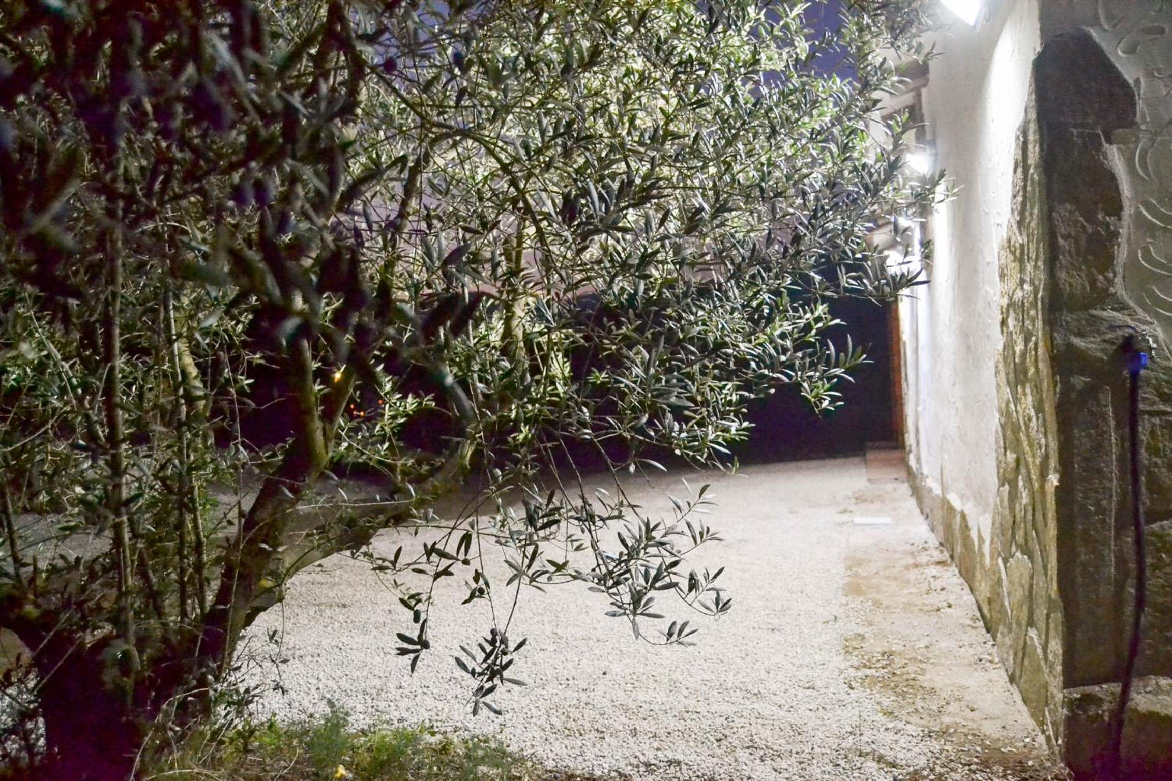 Masía Les Pasoles