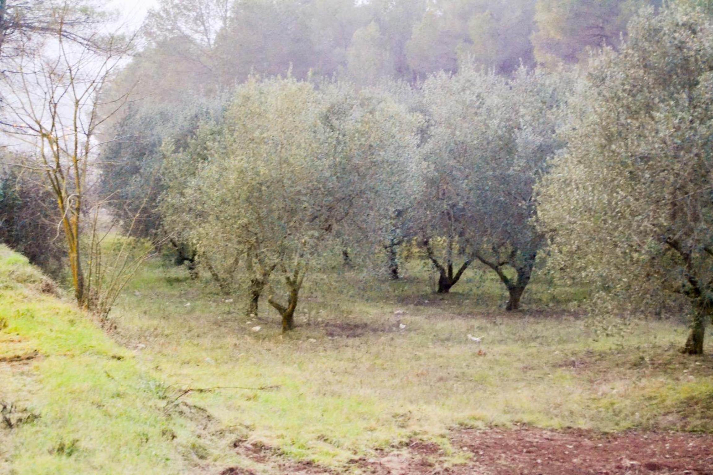 Masía Les Pasoles