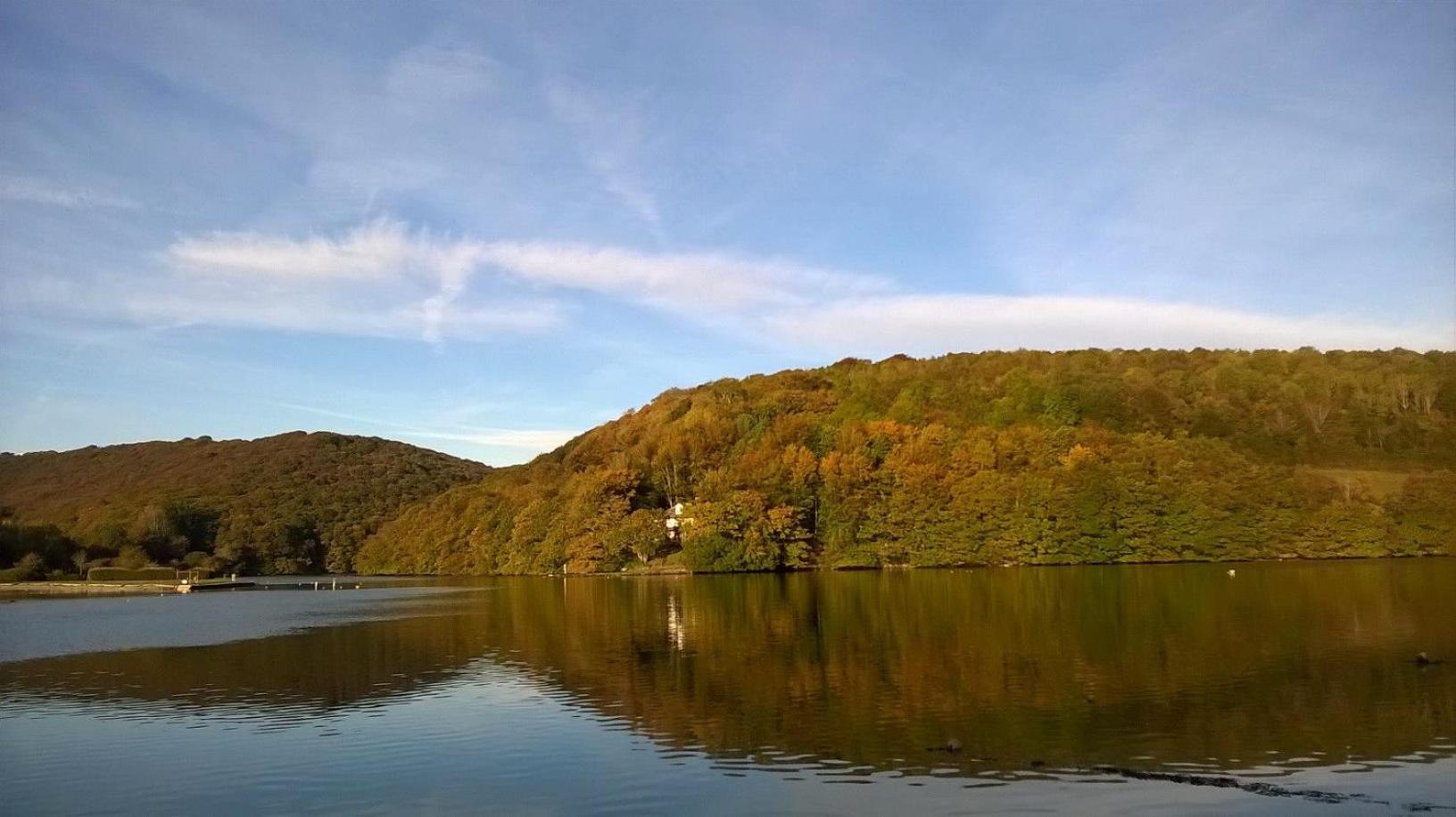 Looe Vacations - Sand Martin - Property Image 5