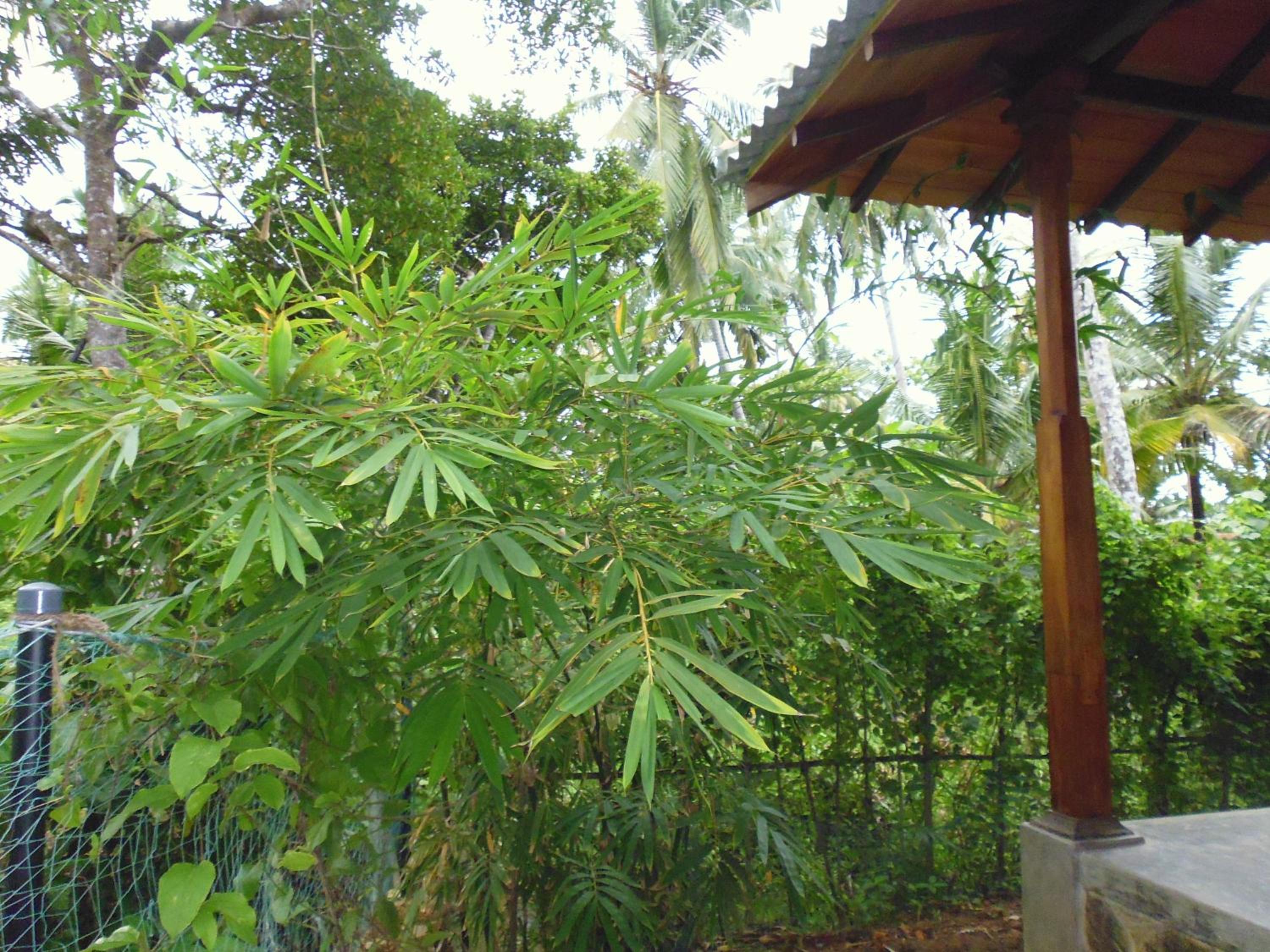Photo 27