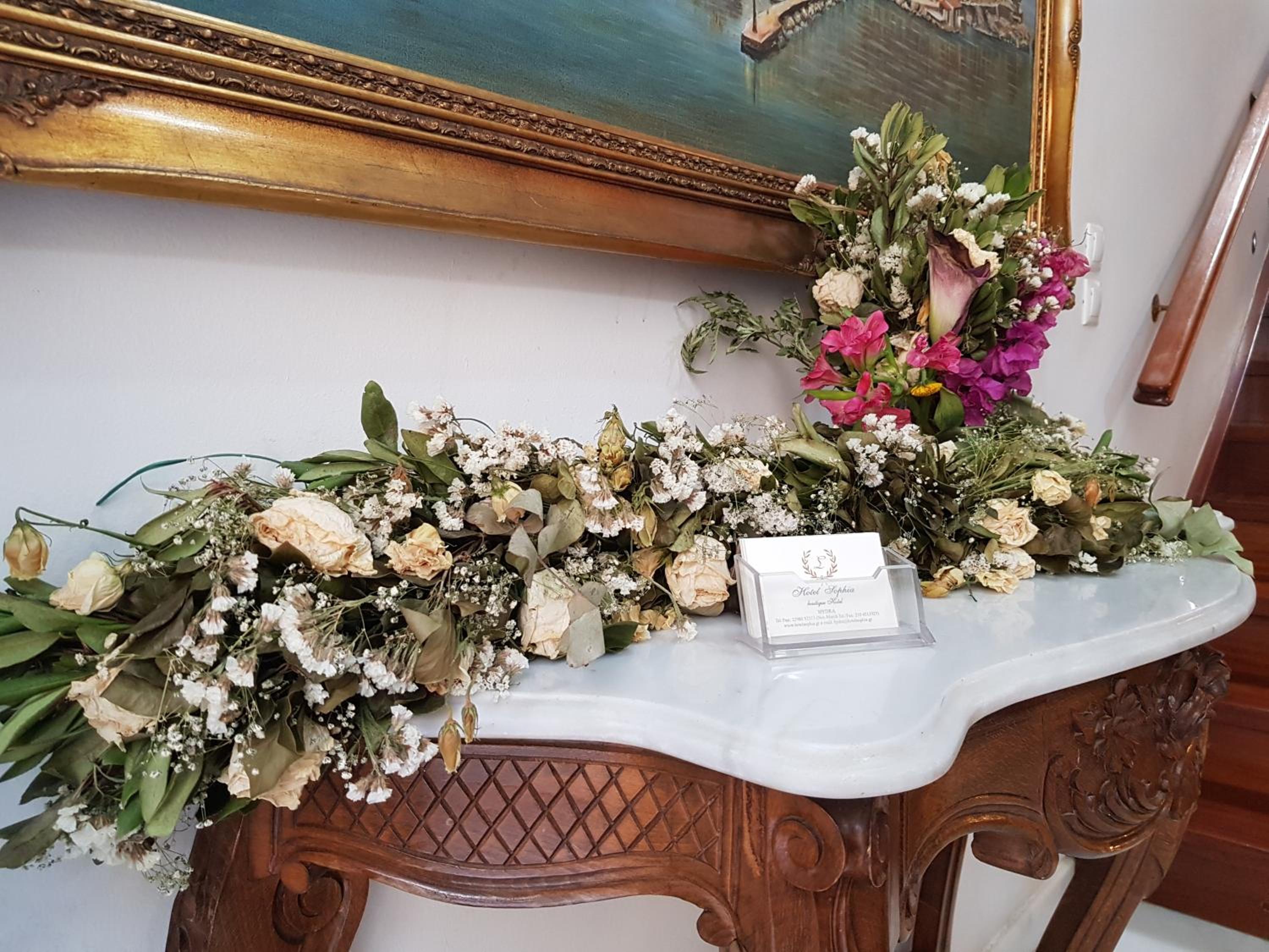 Hotel Sophia photo 4